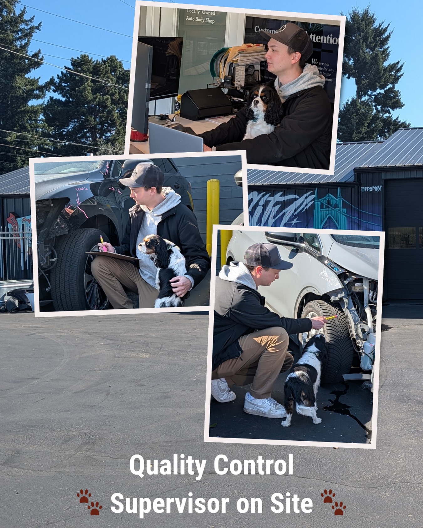 Meet our Seasonal Quality Control Supervisor, Princess Leah 🐾👑
Making sure every car gets checked just right… and every human is doing their job properly (because clearly, they need supervision 😉). From sniff inspections to estimate approvals, nothing gets past her watchful nose.
At Profesional Auto Body & Paint, we do things differently. We’re proudly:
✨ Family-owned (2nd generation)
✨ Woman & minority-owned
✨ Serving Portland since 1997
✨ Pet friendly
✨ Local vs. Big Box
And yes… we even have a local mural celebrating the best of Portland right on our shop!
If you’ve been in an auto accident or need help, we’ve got your back—we advocate for YOU every step of the way.
Stop by, say hi to Leah, and experience the difference 🐶
#dogsofinstagram
#shopdog
#dogphotooftheday
#pdx
#doginfluencer