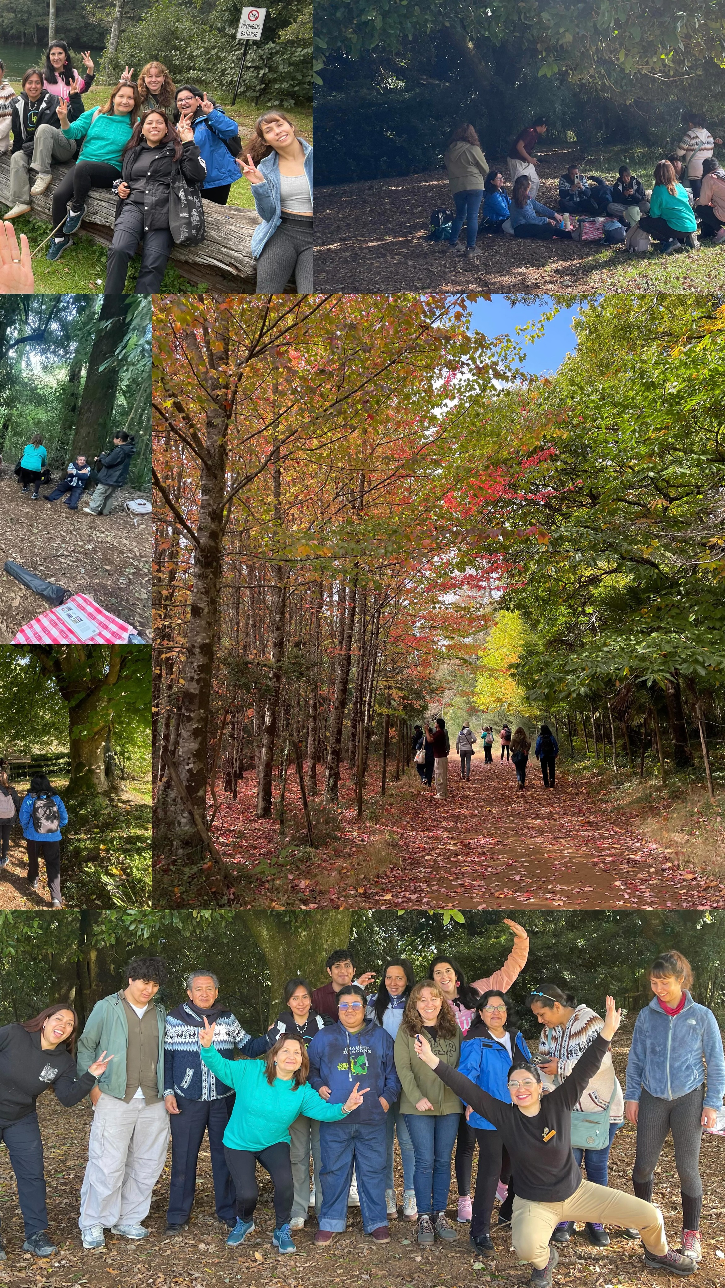 Hay momentos que no se explican… se sienten.
Lo que vivimos en Arboretum fue más que una actividad: fue una pausa real, un encuentro lleno de emoción, conexión y presencia 💚
Entre risas, silencios y naturaleza, compartimos con personas locales y una hermosa familia de México que eligió celebrar la vida junto a nosotros 🌎
Este video es solo un pedacito de lo que se vivió…
lo esencial queda en el corazón.
Gracias por confiar, por entregarse y por ser parte de esta experiencia tan significativa 🙏
#BañosDeBosque #RamariaConsciente #ReelConSentido #NaturalezaQueSana #ConexiónInterior