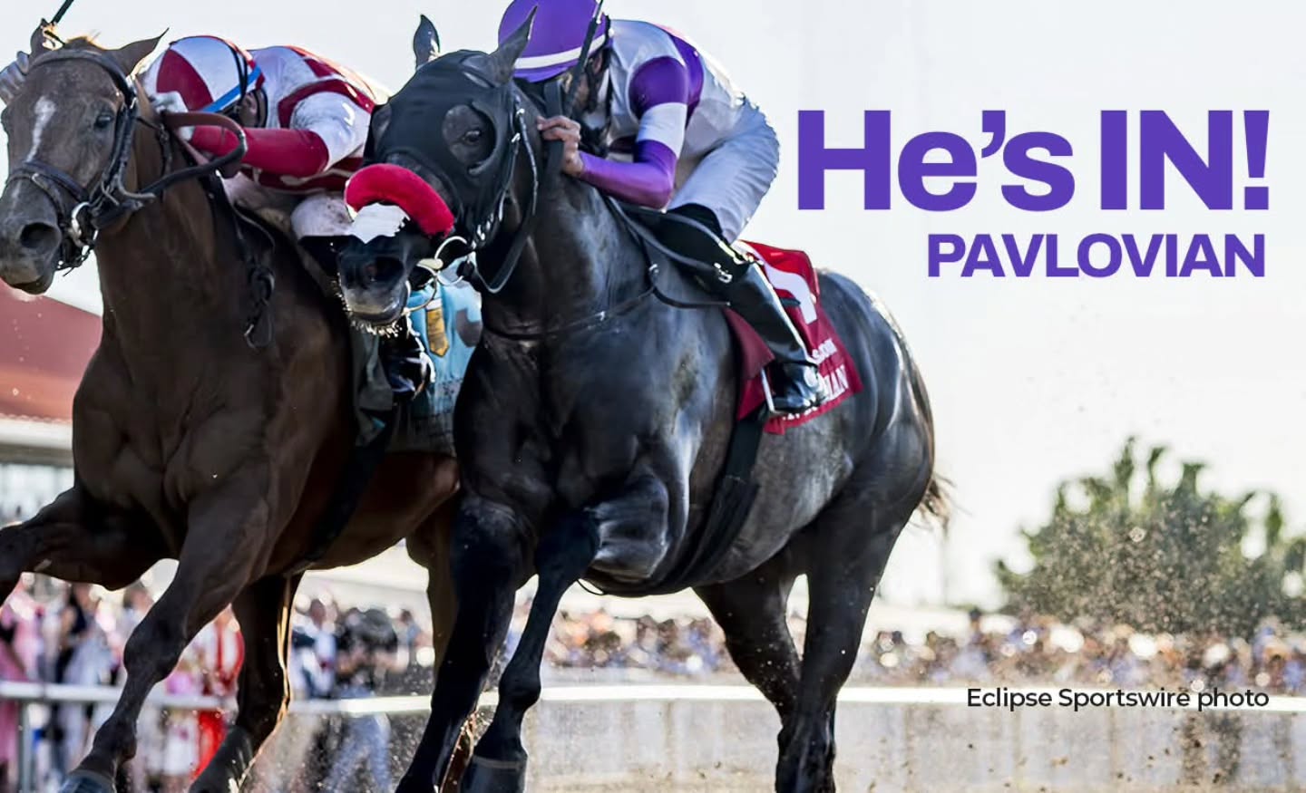 PAVLOVIAN! Lands in the gate for the Kentucky Derby with a valiant 2nd place finish in today's Louisiana Derby. Tremendous trip and ride by jockey @jockeyedwinmaldonado for owner Reddam Racing! You know, it'll be the 10th anniversary of our last win in this storied race. Just sayin. 😉 Congratulations to client Team O'Neill!