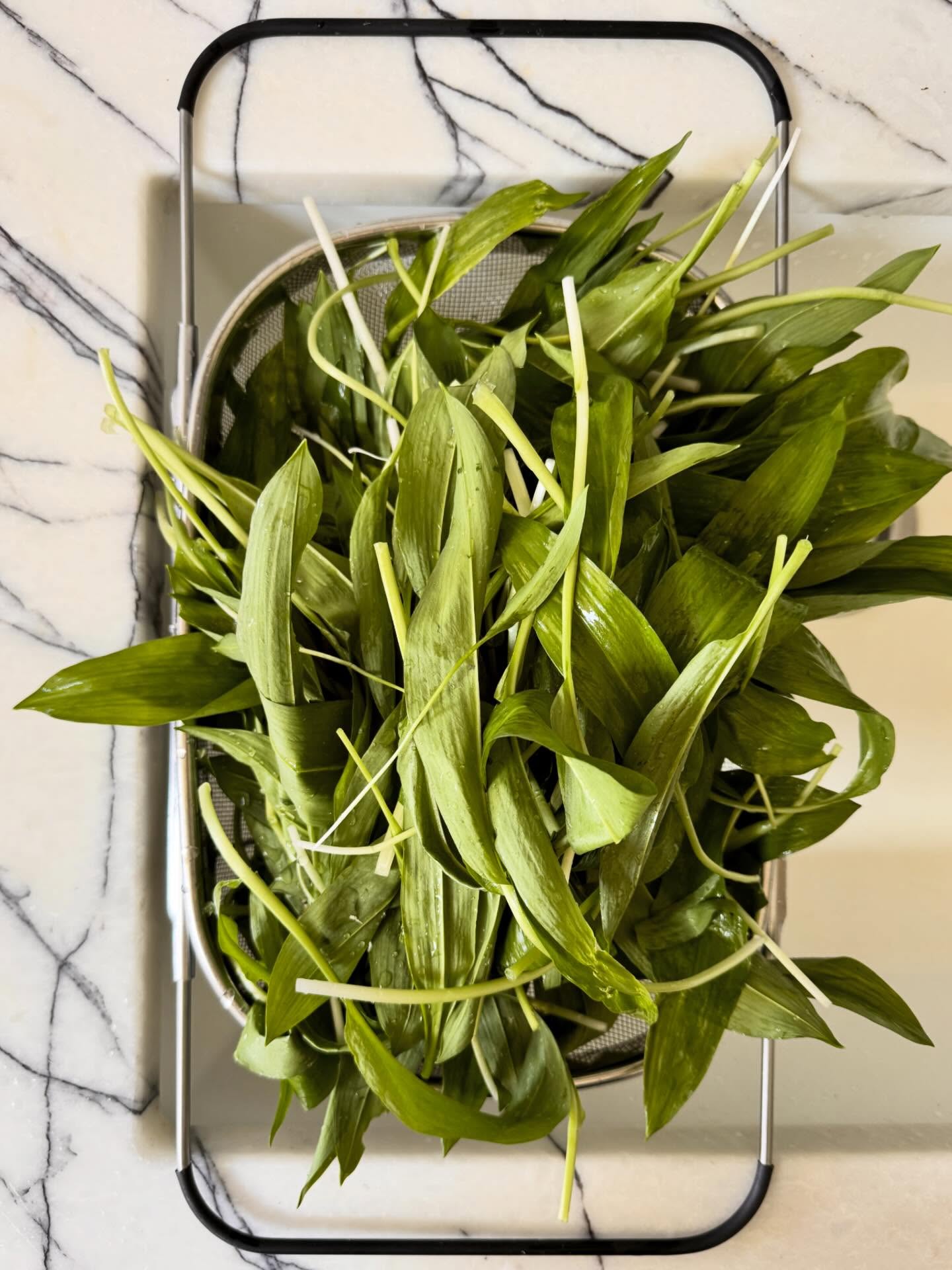 Wild garlic season is here!
Every year I get overexcited and pick bags and bags of it. Regret the amount I've picked when I have to wash it all, struggle to fit it all in the freezer, and soon get bored of wild garlic flavour everything 🥴
But here we go again..
#wildgarlic #littlefromecookeryschool #vegan #plantbasedcookeryschool #frome