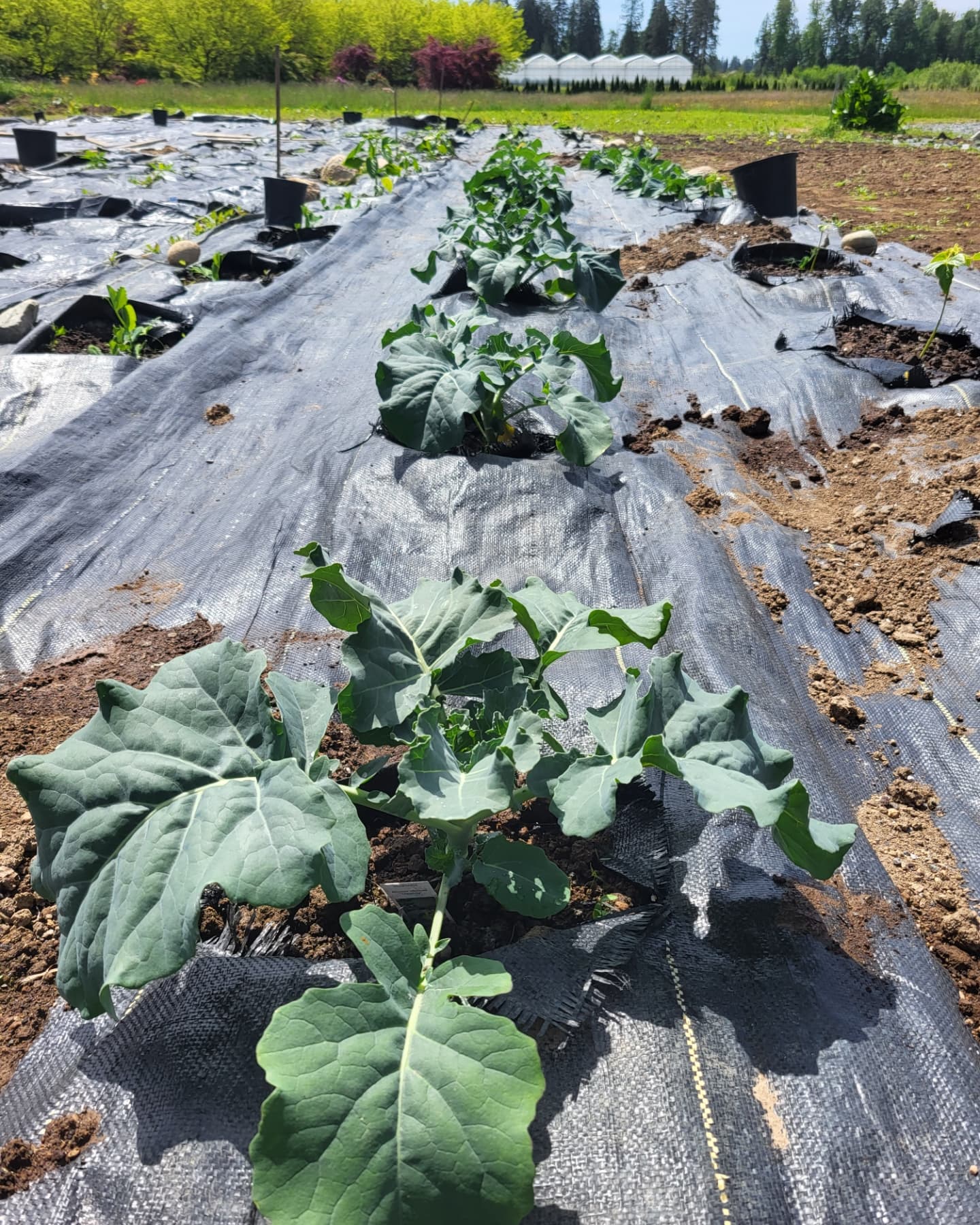 How it started versus how it's going!