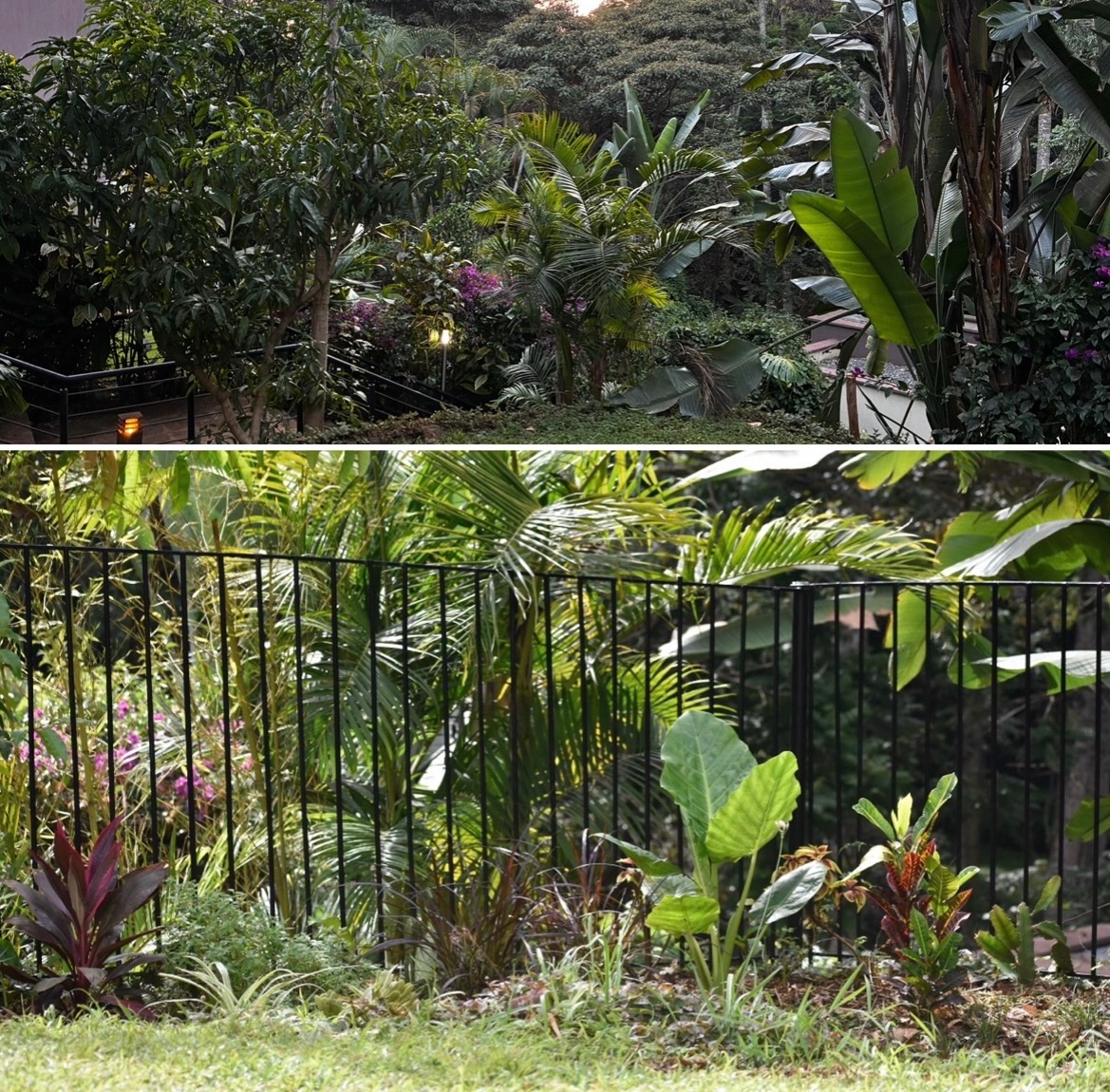 Adjusted layout, improved soil, thoughtful additional layers of plants, and suddenly the entire space begins to function differently.
Now we see better flow, greater diversity, stronger, more resilient plant health and a system that increasingly supports itself over time
What’s changed isn’t just how the space looks, it’s how it works 🌾🪻🐝🌿