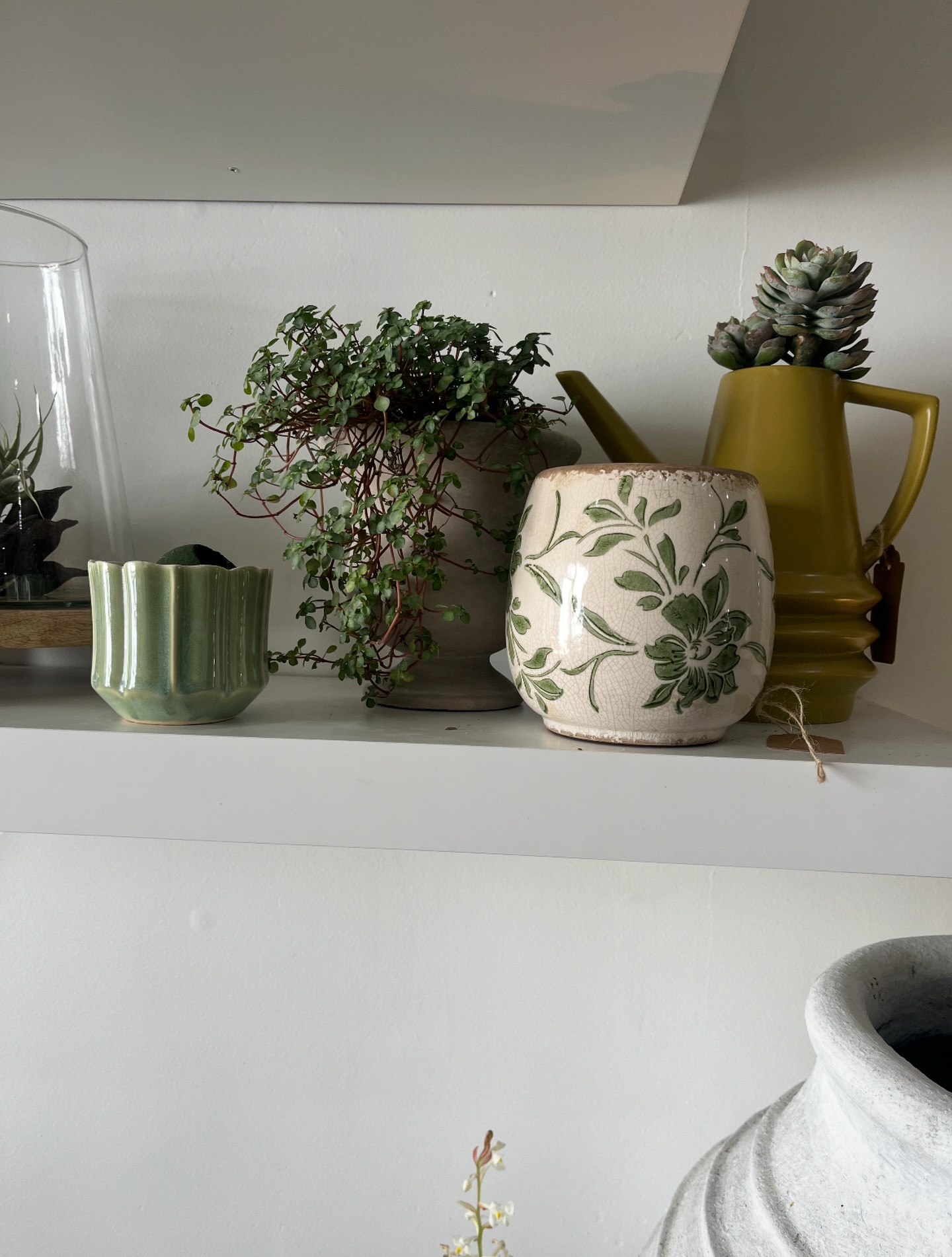 Where greenery meets quiet elegance 🌿
Thoughtfully placed, effortlessly styled, each piece tells a story of warmth, texture, and life. It’s not just décor… it’s how a space begins to breathe.
Find your moment of calm, one plant at a time.
#Plantology #PlantologyPlants #IndoorPlants #PlantStyling #PlantDecor