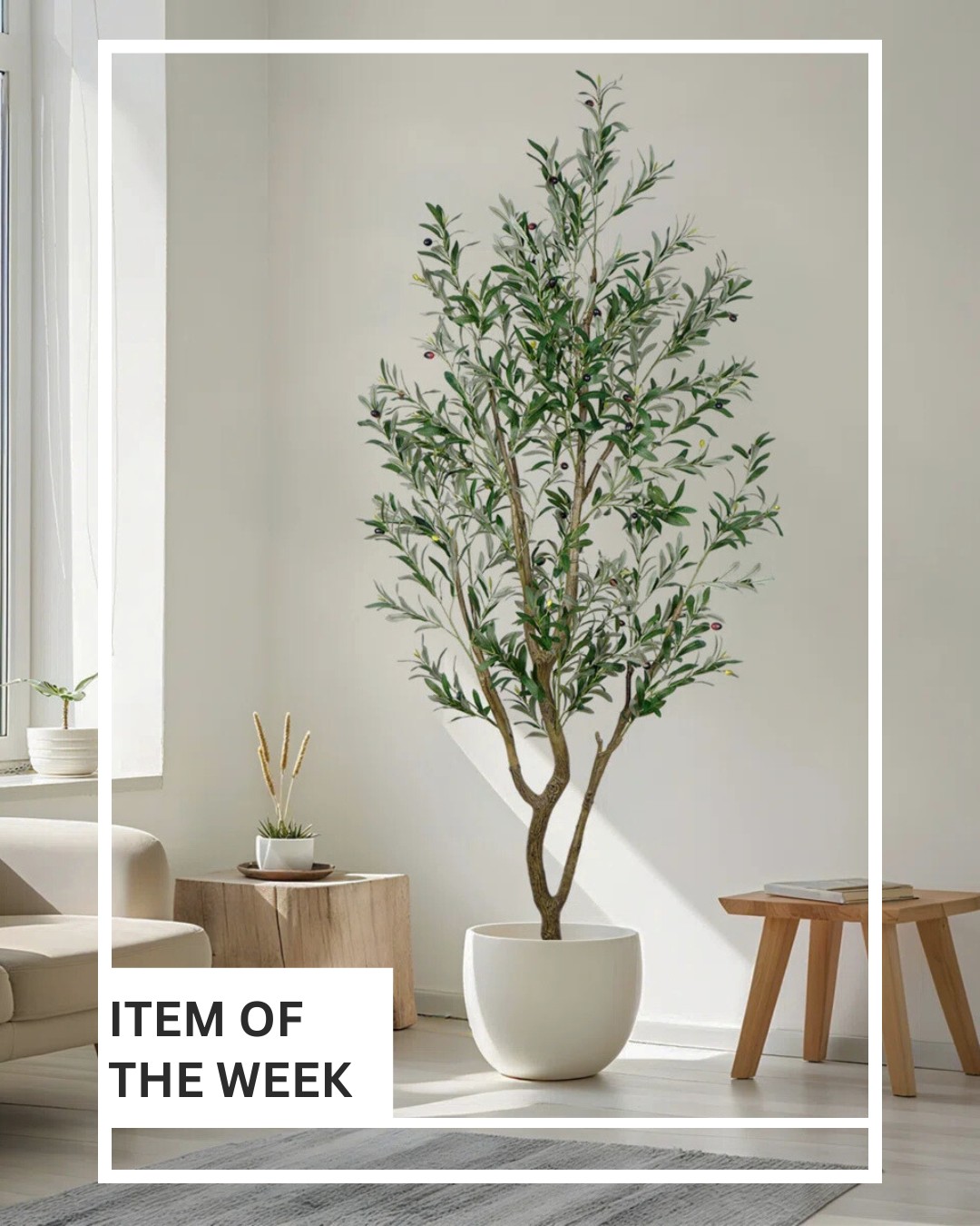 Item of the Week: 7 ft. Faux Olive Tree
Nothing brings a space to life quite like greenery. This lifelike olive tree adds height, softness, and an organic touch without any of the upkeep. With realistic, adjustable branches and a clean, timeless silhouette, it’s perfect for filling an empty corner or adding warmth to any room year-round.
Shop it here: https://bit.ly/4amVJkG
#interiordesign #homedecor #fauxplants #styledspaces #itemoftheweek