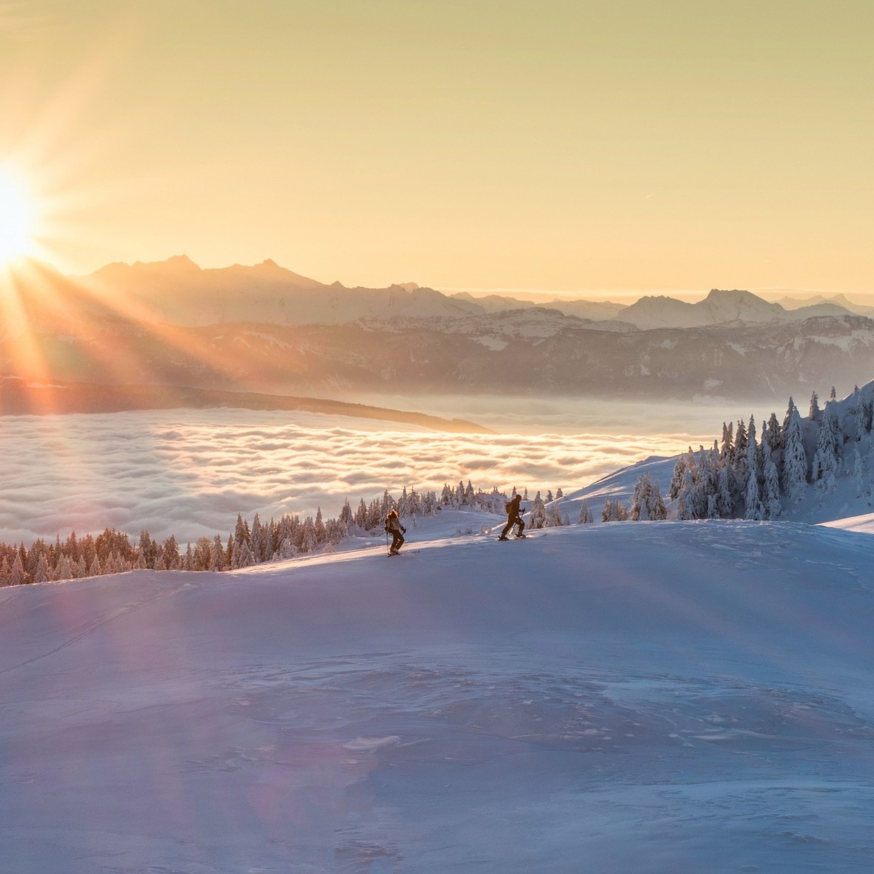 En bref, notre actualité du mois ! 🌷
Photo 1 - 𝐥𝐞 𝐏𝐋𝐔𝐢 𝐝𝐞 𝐇𝐚𝐮𝐭-𝐉𝐮𝐫𝐚 𝐒𝐚𝐢𝐧𝐭-𝐂𝐥𝐚𝐮𝐝𝐞 𝐞𝐬𝐭 𝐨𝐟𝐟𝐢𝐜𝐢𝐞𝐥𝐥𝐞𝐦𝐞𝐧𝐭 𝐚𝐫𝐫ê𝐭é ! 🎉 Le projet s’appuie sur trois axes majeurs : la préservation de l’identité d’un territoire naturel singulier, le développement économique équilibré et complémentaire, et le maintien d’une qualité de vie élevée avec une démographie stabilisée.
Photos 2 à 6 - 𝐔𝐧𝐞 𝐣𝐨𝐮𝐫𝐧é𝐞 𝐝𝐞 𝐭𝐞𝐫𝐫𝐚𝐢𝐧 à 𝐃𝐫𝐚𝐯𝐞𝐢𝐥 dans le cadre d’une étude urbaine dédiée à la revitalisation du centre-bourg, incluant une réflexion sur le réaménagement de la place de la République ainsi que sur les abords des axes majeurs.
Photos 7 à 8 - 𝐉𝐨𝐮𝐫𝐧é𝐞 𝐬é𝐦𝐢𝐧𝐚𝐢𝐫𝐞 à 𝐄𝐬𝐩𝐚𝐜𝐞 𝐕𝐢𝐥𝐥𝐞 𝐒𝐂𝐎𝐏 👩🎓👨🎓 : tous les salariés, antennes comprises, se réunissent pour partager et analyser les récentes évolutions législatives, échanger sur les nouvelles méthodologies développées en interne et poursuivre un objectif commun d’amélioration continue de la qualité de nos études.
Enfin, 𝐚𝐮-𝐝𝐞𝐥à 𝐝𝐞 𝐧𝐨𝐬 𝐟𝐨𝐫𝐦𝐚𝐭𝐢𝐨𝐧𝐬 𝐢𝐧𝐭𝐞𝐫𝐧𝐞𝐬, 𝐧𝐨𝐮𝐬 𝐚𝐜𝐜𝐨𝐦𝐩𝐚𝐠𝐧𝐨𝐧𝐬 é𝐠𝐚𝐥𝐞𝐦𝐞𝐧𝐭 𝐥𝐞𝐬 𝐭𝐞𝐜𝐡𝐧𝐢𝐜𝐢𝐞𝐧𝐬 𝐝𝐞𝐬 𝐜𝐨𝐦𝐦𝐮𝐧𝐞𝐬 — comme à Saint-Nom-la-Bretèche — dans la prise en main d’outils tels que QGIS. Nous les formons aux standards du CNIG et les accompagnons dans la validation ainsi que la publication des PLU sur le Géoportail de l’urbanisme.