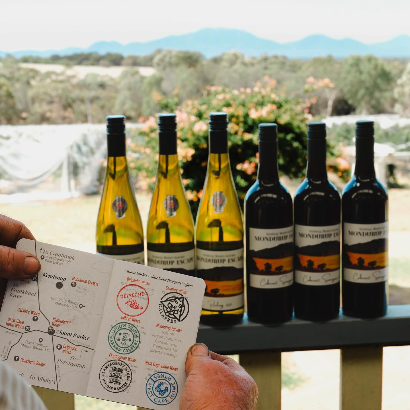 Explore, taste, win!
Grab your crew and take weekend and day trips around the Great Southern from now
until the end of Winter. Make sure to get your hands on one of these Cellar Door
Passports with exclusive offers and discounts for 26 cellar doors. Get a stamp at
participating cellar doors when you make any purchase and collect 3 stamps in March
to enter the lucky draw. Details at www.greatsouthernwine.org.au/passport