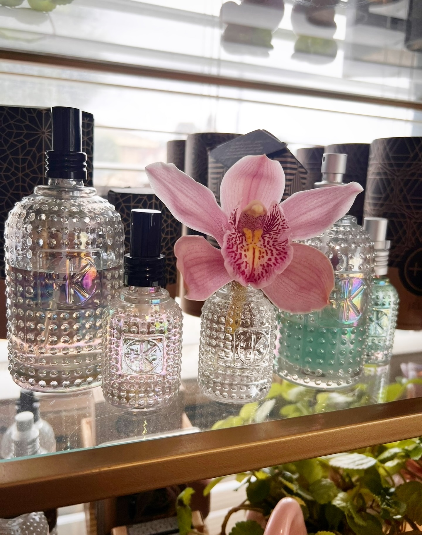 Reuse, Recycle
.
I always reuse my @cultandking bottles
.
If I don’t use it to refill the product, I’m using it:
- As a vase
- plant mister
- add water to re-style hair
- add white vinegar mixture for cleaning
.
So many possibilities & so pretty!