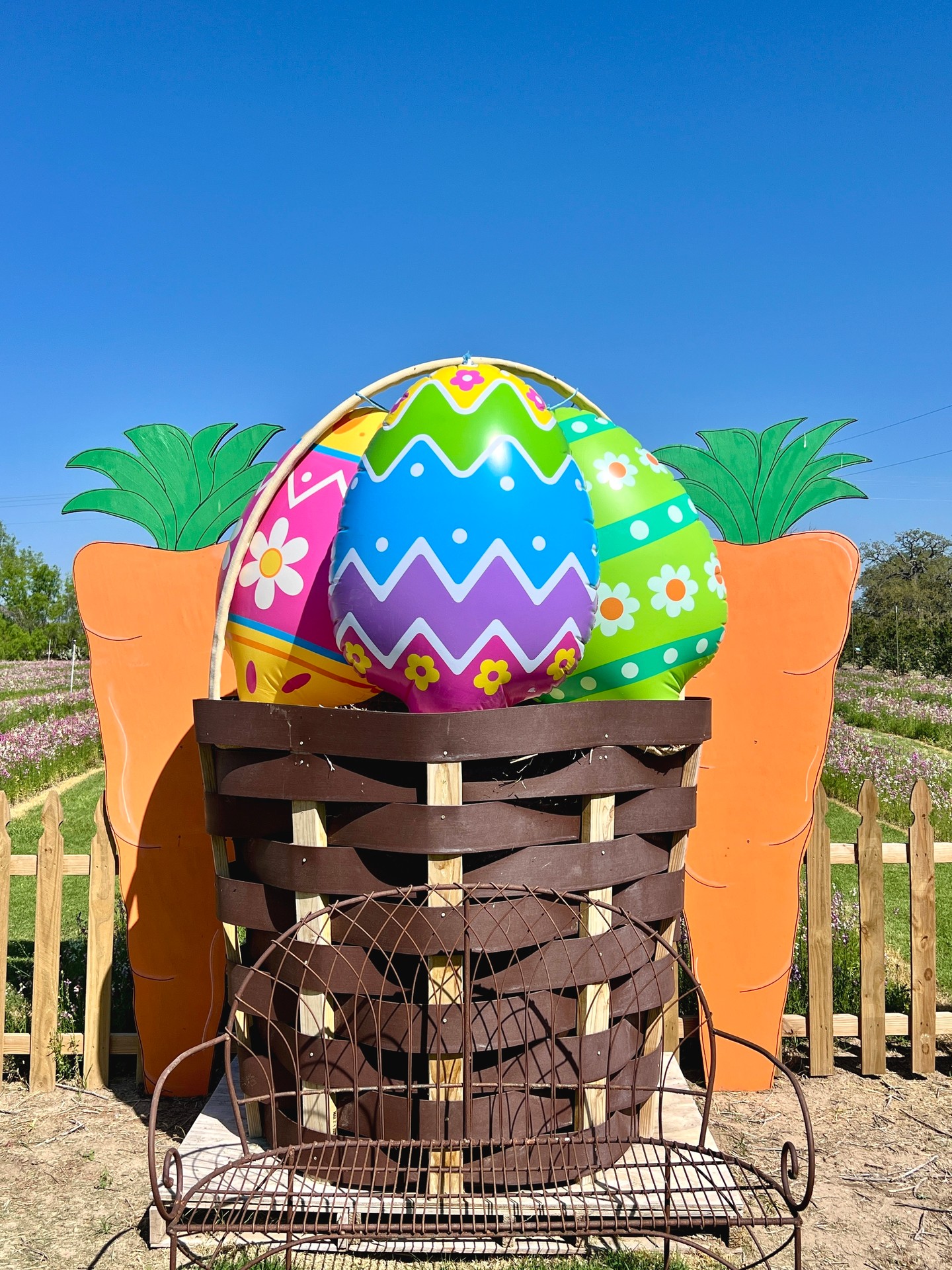 The scene is set and the fun kicks off TOMORROW! What a beautiful weekend to start our spring season. Cannot wait to have y'all out! 💐🐰🌼
Saturday & Sunday: 10am - 5pm
**Scavenger egg hunts happen leisurely throughout the day
Tickets available online: devineacresfarm.com