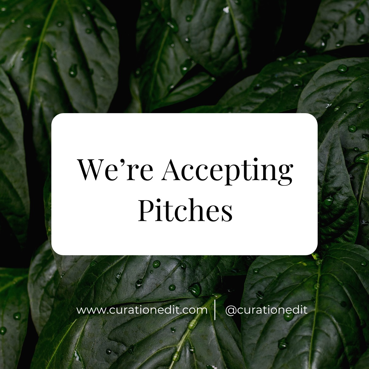 We’re now accepting pitches ✨
Curation Edit is opening its doors to writers, creatives, and thinkers who see culture a little differently.
We’re interested in stories that sit at the intersection of:
— lifestyle & identity
— modern luxury & sensory storytelling
— food, travel, fashion, and lived experiences
— cultural trends shaping how we consume and express ourselves
If your work is thoughtful, well-observed, and rooted in perspective, we want to hear from you.
All accepted pitches are paid.
Send us a short idea or outline + writing samples.
📩 curationedit@gmail.com
Let’s build something intentional, not just content.
#curationedit #callforwriters #editorialplatform #contentcreators #writersofinstagram
