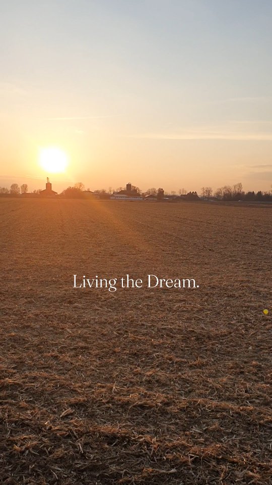 Living my childhood dream.❤️
#equestrianlife #equestriandream #sunsetlovers #reitenmachtsinn #reitenmitgefühl