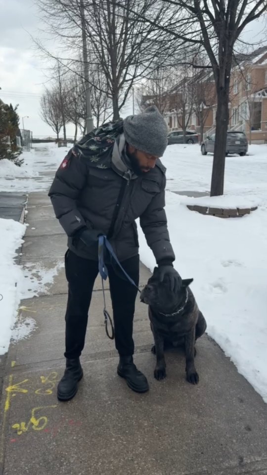 Building Trust with Nero 🐾
Nero came to us with a bite history and a lot of uncertainty around people. In cases like this, safety and trust come first.
We took a gradual approach, building positive associations and calm handling while he was still wearing a muzzle. Step by step, we worked on earning his trust before safely removing it.
This moment marks real progress. Once trust is established, that’s when meaningful training can begin.
📩 If your dog struggles with fear or reactivity, we’re here to help.
📍 24 Pillar Rock Crescent, Markham, ON L6C 3H4, Canada
📞 (647) 425-4838 / (647) 807-8761
🌐 www.benridgecanineservices.com
#DogTraining #BenridgeCanineServices #DogTrainingMarkham #DogBehaviornñ #reactivedog