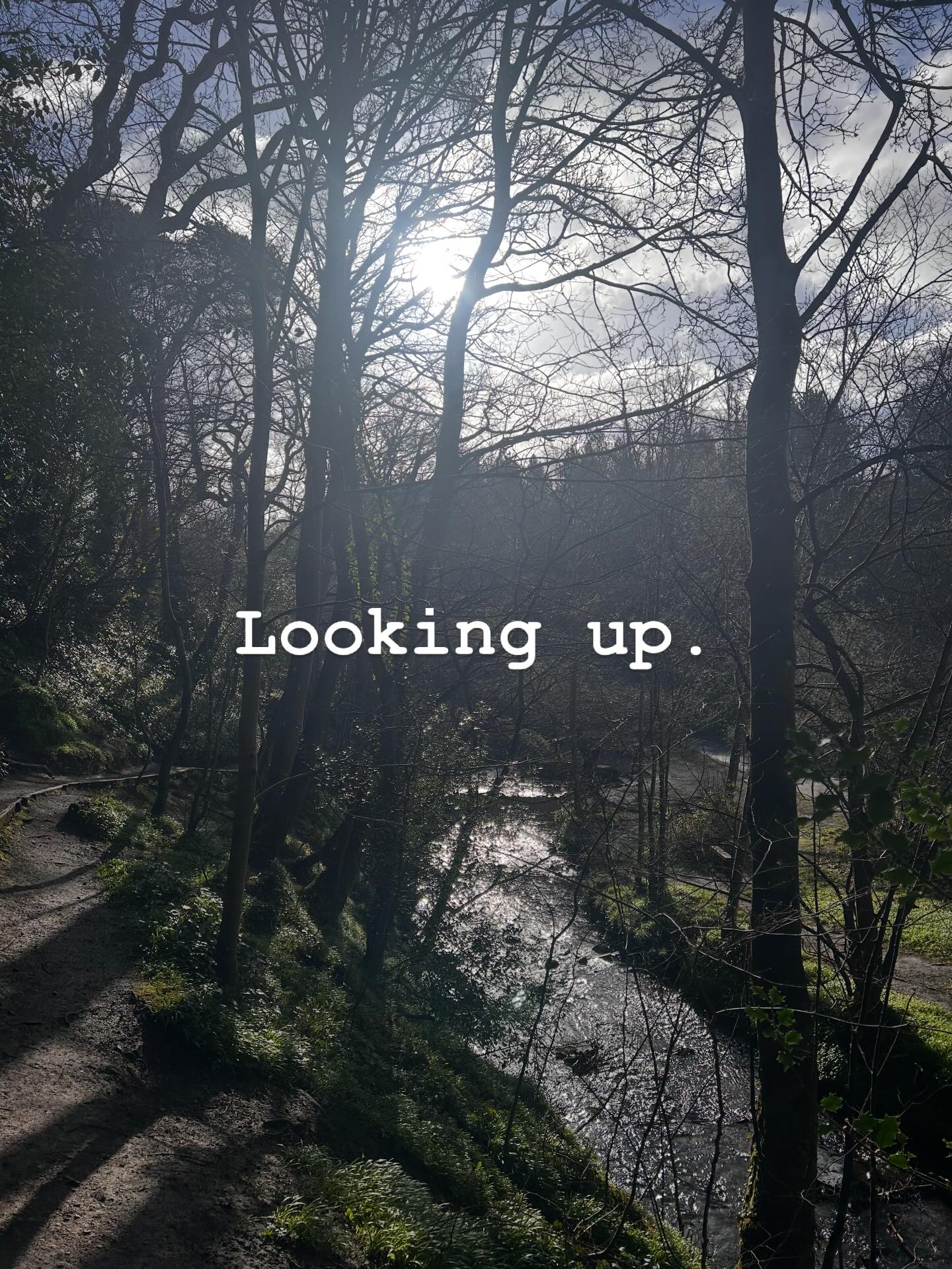 We spend so much time with our heads down. Looking up gives you a different view of life. You can do this anywhere, even at your desk.
Stand still. Look up. See what you see. Breathe.
#forestbathing #forestbathingscotland #forestbathingedinburgh #forestbathing🌲🌲🌲 #lookup