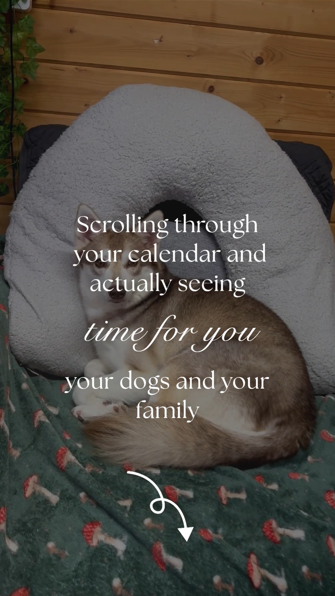 White space in your calendar feels impossible when demand is high and you are trying to help everyone who asks. Saying no to a booking feels like turning away a dog who needs you. Blocking out time for admin feels indulgent when clients are waiting. The gaps fill because everything feels urgent.
A full calendar is not success. It is a warning sign that your business is running at capacity with no margin for the unexpected. No space if a session overruns. No buffer if you get stuck in traffic. No room if a client needs urgent support. No time to recover between a difficult case and a puppy class. You are working at the edge of what is possible and it only holds if nothing goes wrong.
Breathing room is not about doing less work. It is about structuring your time so that your business can flex when it needs to. Someone managing your diary with an understanding of what is sustainable, not just what is technically possible. Protecting the spaces that keep you functional.
White space is not wasted time. It is the difference between a business that runs you and a business you can actually sustain.
#LittleWolfCS #DogTrainerLife #CanineBusiness #TimeManagement #WorkSmarterNotHarder
