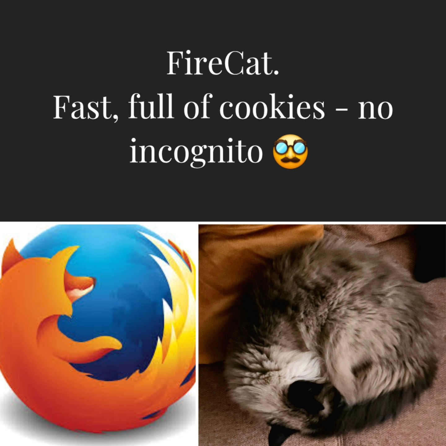 Creativity in 2025 is not only posting nice photos. So I had some fun with AI and made some fun stuff 😁✌️ #ai #memes #portraits #home #catsofinstagram #tech #browser #ragdoll