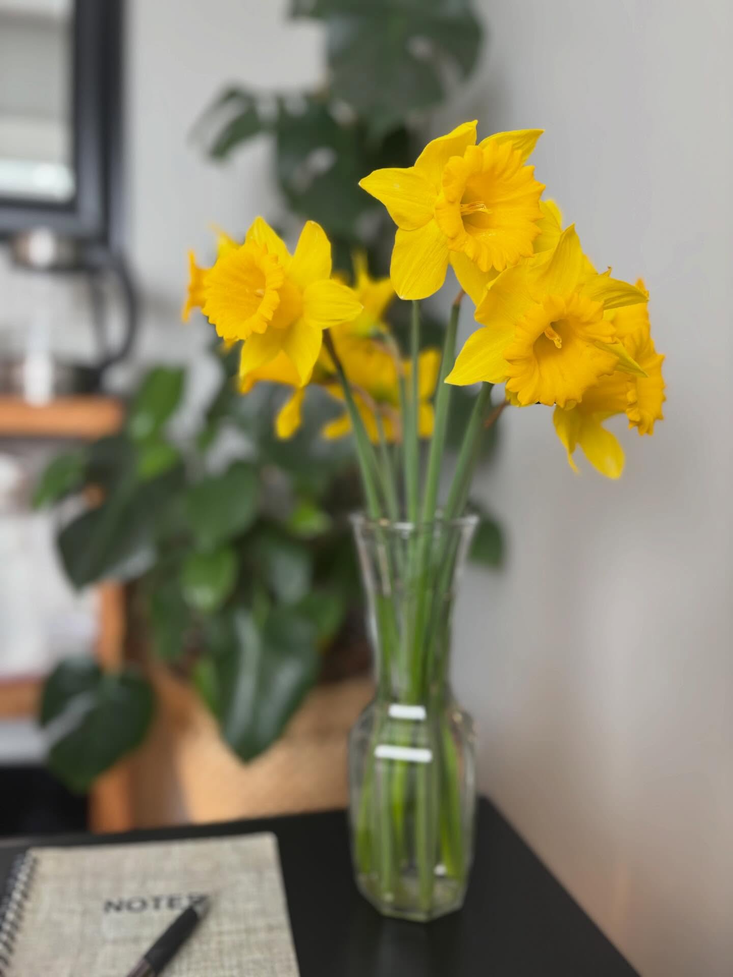 it's the little things 🌼