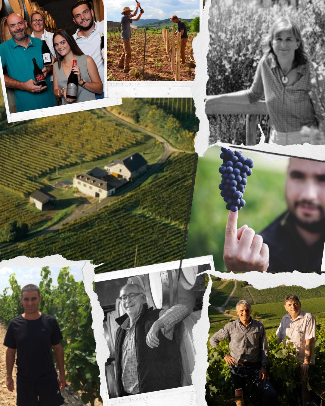 đ·Le Chai (re)fait son Salon !đ·
Rendez-vous ce samedi 28 mars, de 10h30 Ă 18h30.
Une journée conviviale pour aller à la rencontre de plus de 30 vignerons et partenaires !
Pour vous restaurer sur place, retrouvez La Maison Biraben, Les Salaisons Artisanales Pardon et La Maison ArtigarrĂšde...
Entrée : 10⏠avec un verre sérigraphié offert.
đInscription via le lien en bio
Venez partager un moment autour du vin, fait de dĂ©couvertes, dâĂ©changes et de plaisir...
On vous attend nombreux !