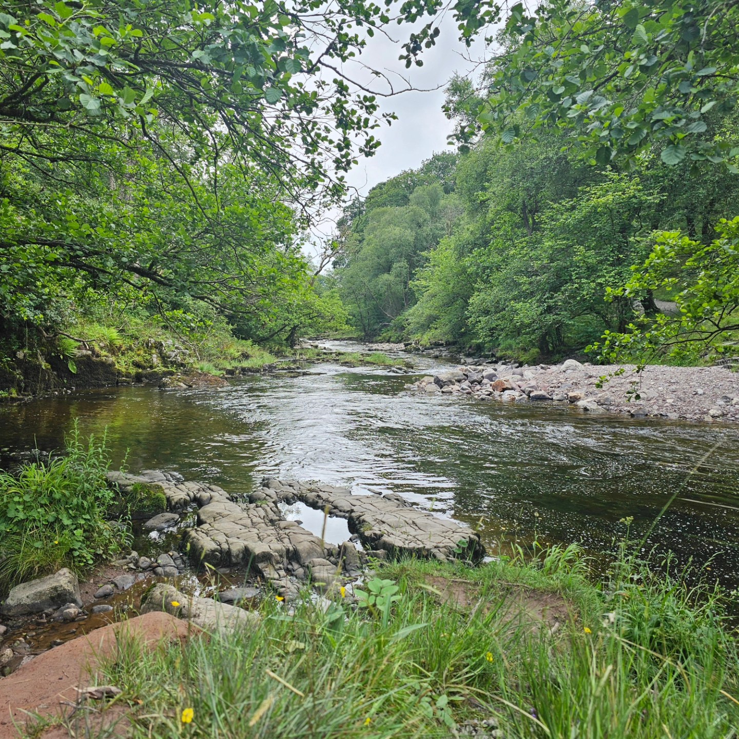 A little Sunday hike with @geraldjd around the Four Falls Trail. Well worth a visit.
Route info: https://tinyurl.com/mynayejs
#hiking #waterfalls #fourfallstrail #breconbeaconsnationalpark #sgwdyreira #wales #welshwaterfalls #ukhikers