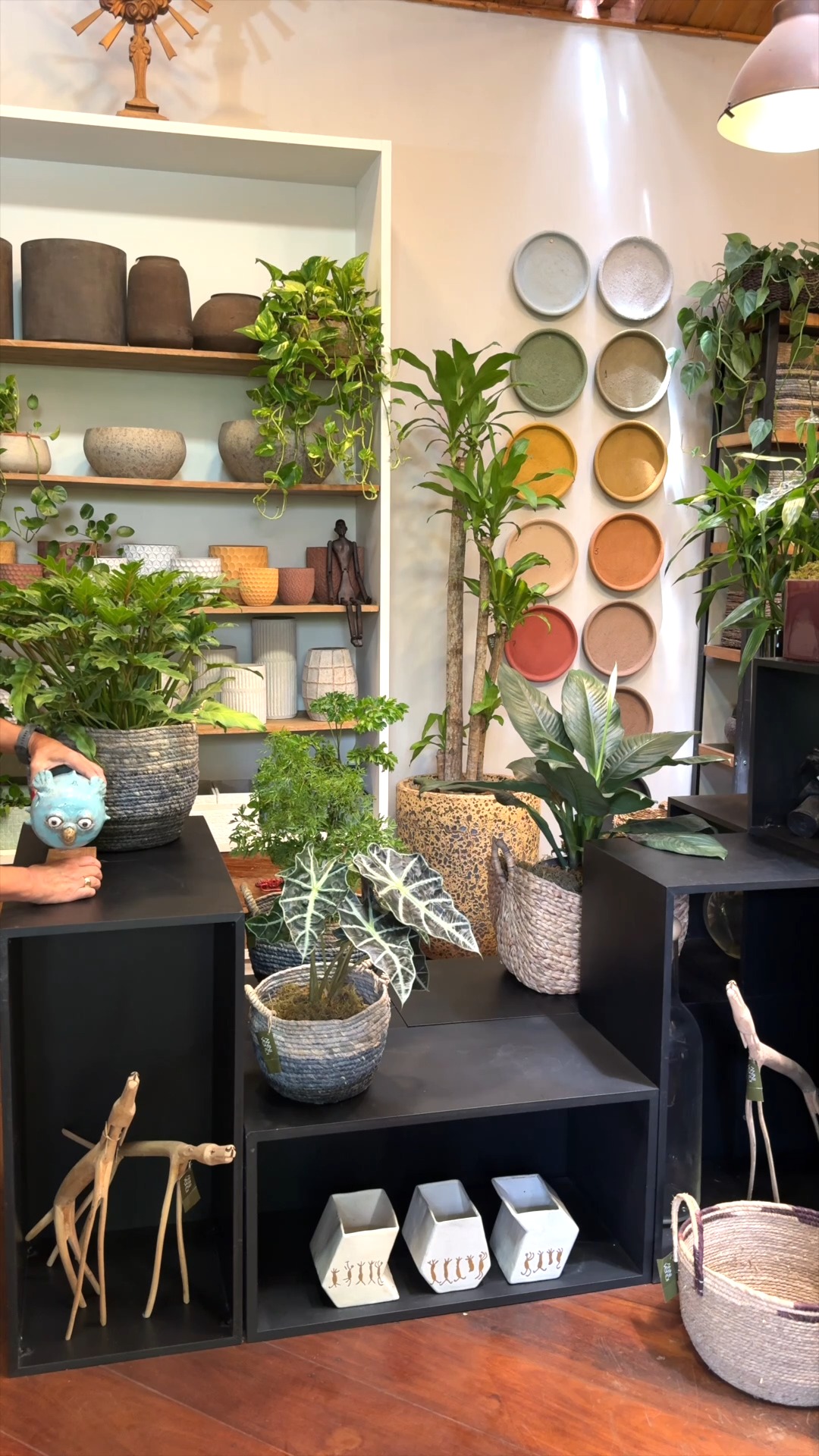 Projetar é integrar.
Na Anni Verdi, paisagismo e curadoria caminham juntos para criar ambientes completos, onde natureza, arte e design se encontram.
Cada detalhe é escolhido para ampliar a experiência do espaço e reforçar sua identidade.
#anniverdi #paisagismoautoral #designcomalma #arteedecoracao #projetospersonalizados