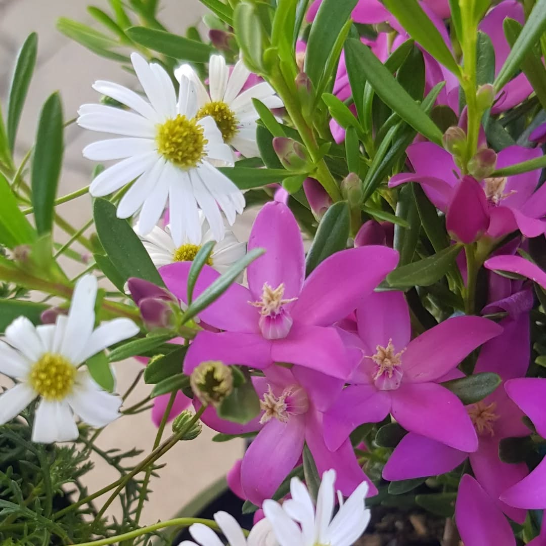 Easter Trading Hours
Good Friday - Closed
Easter Saturday - Open 10am till 4pm
Easter Sunday - Closed
Easter Monday - Open 10am till 4pm