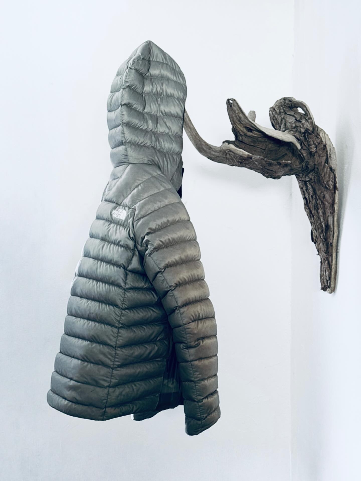 礼文島に着いて手早く撮影してきた。今回は次回の作業量の確認。生きているうちにやれることがあるうちはやる。