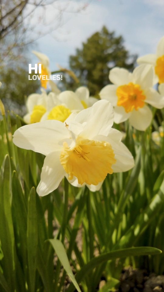 💜 Hi! Classes are back tomorrow, and I cant wait to see everyone 💜