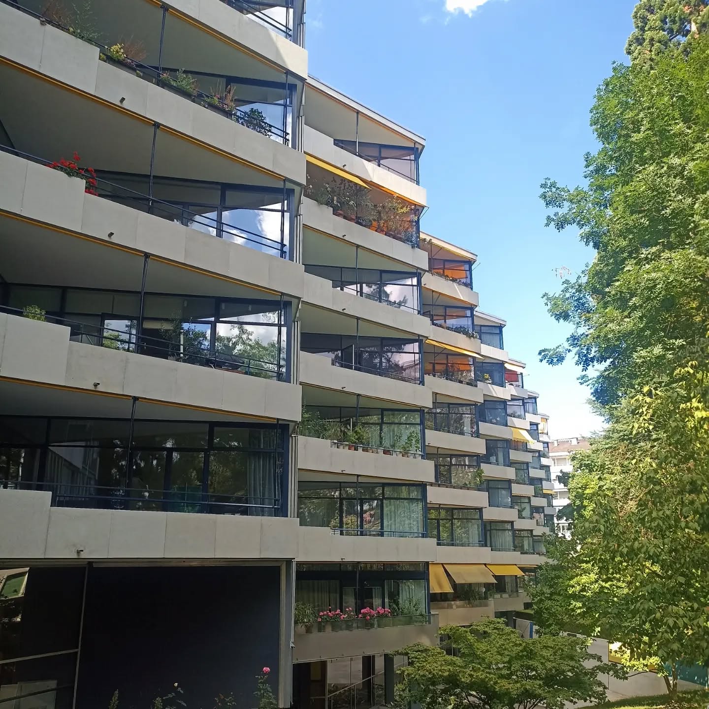 #miremontlecret #docomomo #docomomointernational #marcsaugey #champelgeneve #visitgeneva #architectours #architecturexxème #architecturemasterpiece #architecturalguidedtours #architectureswitzerland #lecorbusier #patrimoinearchitectural #genevaarchitecturetour #genevaarchitecture #geneva🇨🇭#marcjosephsaugey