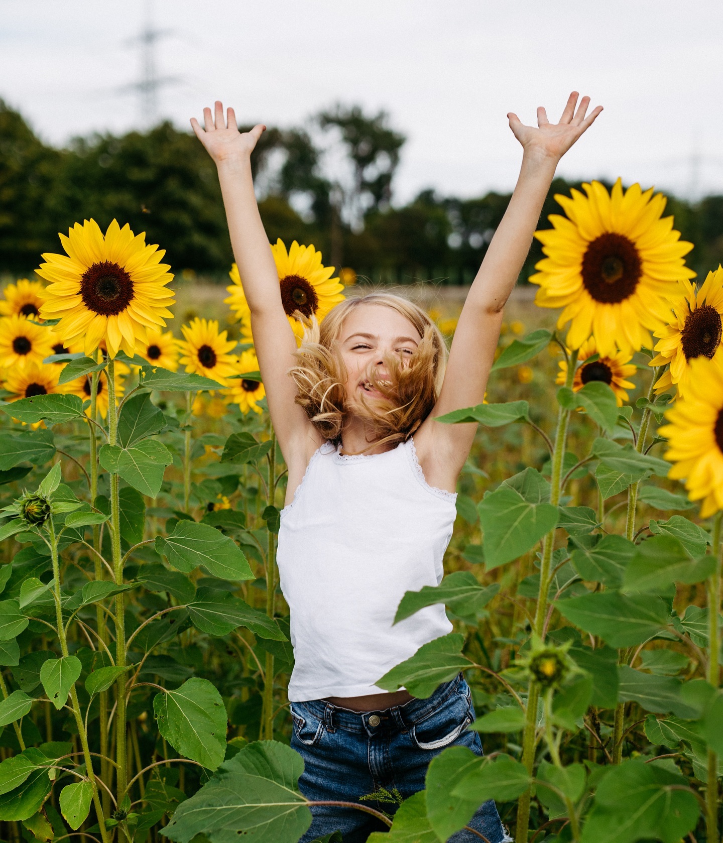#sunflowershooting #sunflowerfield #sonnenblumenfeld