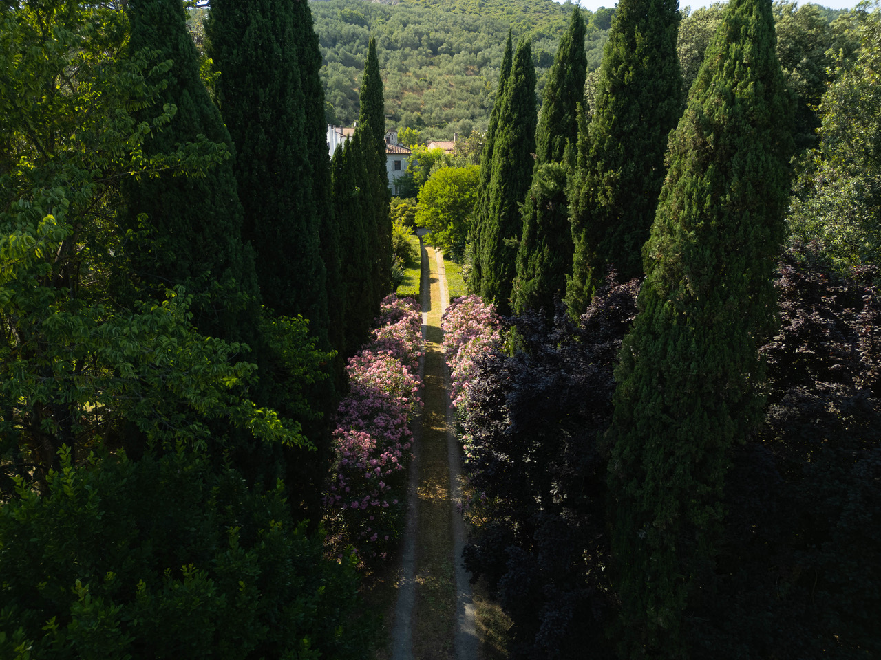 🏛️ Historic Villa in Vicopisano, Tuscany 🇮🇹
Elegant 18th-century residence (750 sqm) set in the heart of Vicopisano, surrounded by a 5,000 sqm English-style garden 🌿
A rare historic home born from ambition and love, offering total privacy despite its central location.
Original features include Carrara marble staircase, antique floors, fireplaces, and a stunning 1869 olive mill converted into a reception hall for up to 36 guests.
Ideal as a prestigious private residence or boutique hospitality property, close to Pisa airport, art cities, and the sea.
✨ A timeless piece of Tuscan history
💰 €850,000