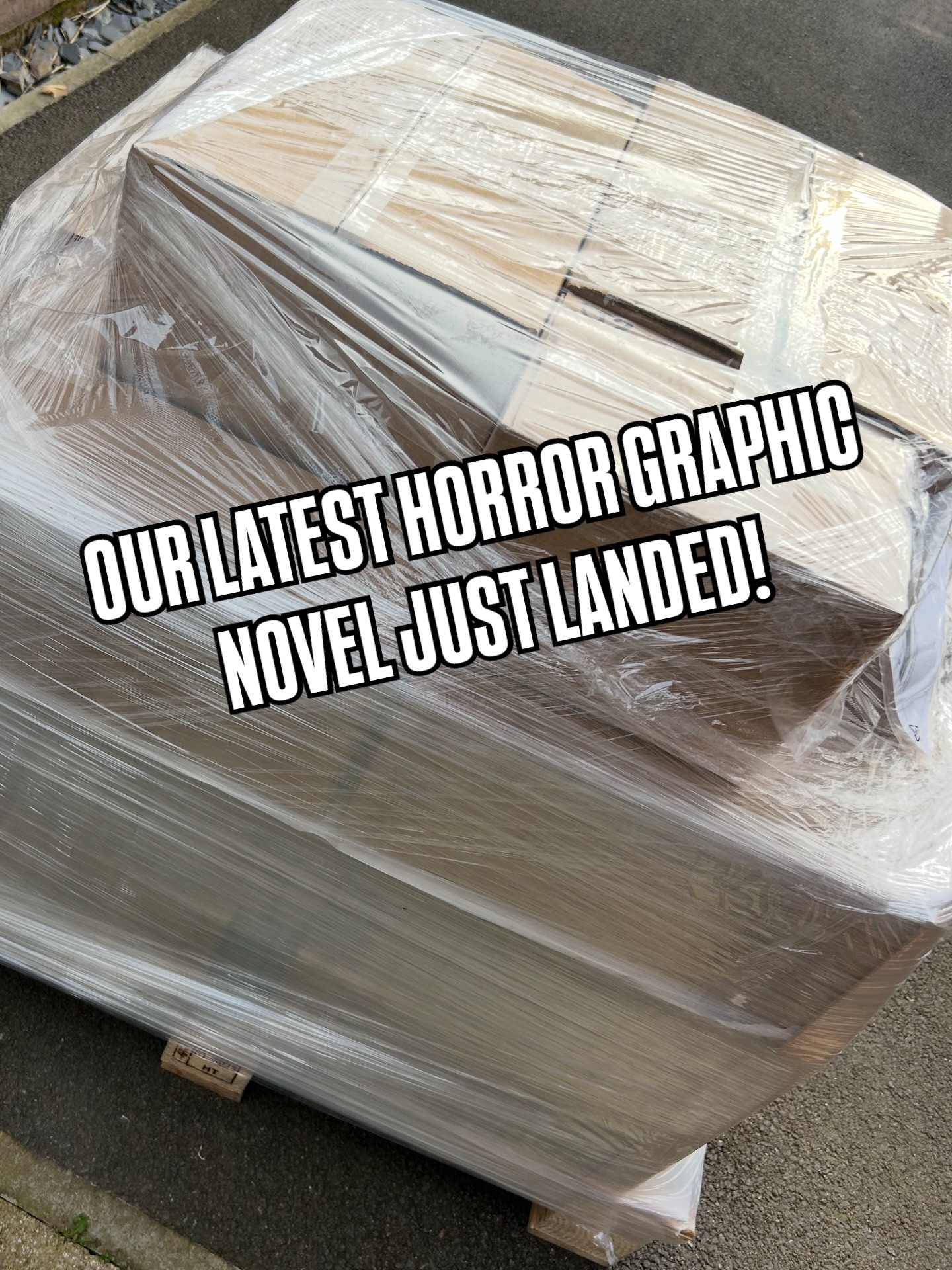 ⚠️Our latest Horror Graphic Novel just landed!
Diefenbach - A Medieval-set Folk Horror Graphic Novel by Benedykt Szneider.
A grave robber and a witch hunter face a cursed village and a dark nun rising from hell.