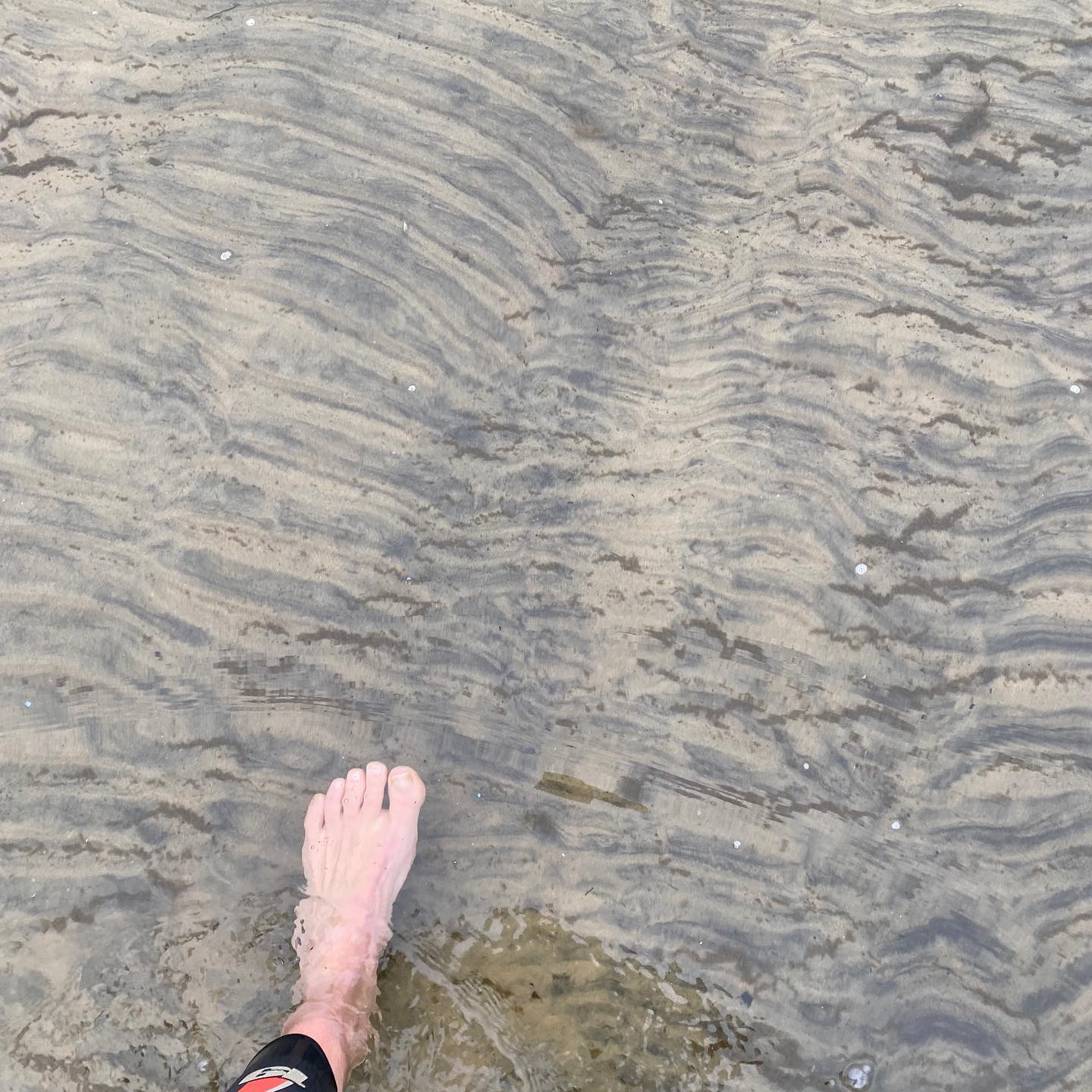 So much to be thankful for. Loving living so close to beautiful Georgian Bay and so happy for these late season swims.
Happy Thanksgiving y’all
❤️❤️❤️
#georgianbay
#thankful
#grateful
#happyCanadianthanksgiving #familytime