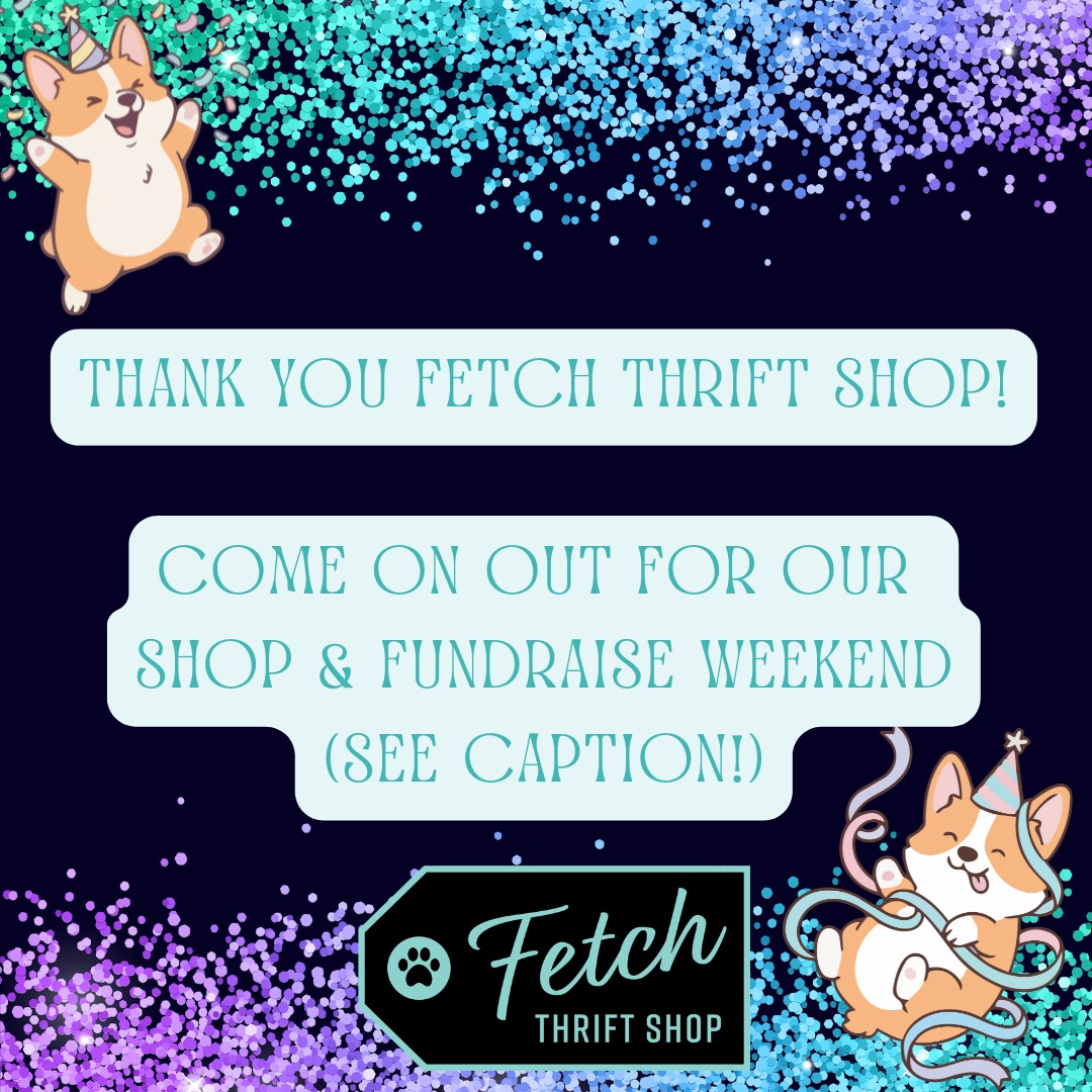 This Thursday we thank @fetchthriftshop! Not only did they sponsor our upcoming Bingo on April 19th, but they chose us to support all month long!
This weekend (Friday to Sunday) you can come shop at Fetch, mention FFCOAS before you check out, and we will get 50% of each individual sale! Don't forget to mention FFOCAS or it won't count!
There's also still time to donate your gently used household items and we will get $5 for every total drop off per person! Don't forget to mention FFOCAS or it won't count!
Can't shop or drop? Review Fetch here and we will get $5 for every review! https://rb.gy/zwjybu
#fetch #thriftshop #thrifty #lovefetch #localshops #shoplocal #frederickmdshop #supportlocalbusiness #homelesspets #petsarefamily #donateyourstuff #givingback #eviews