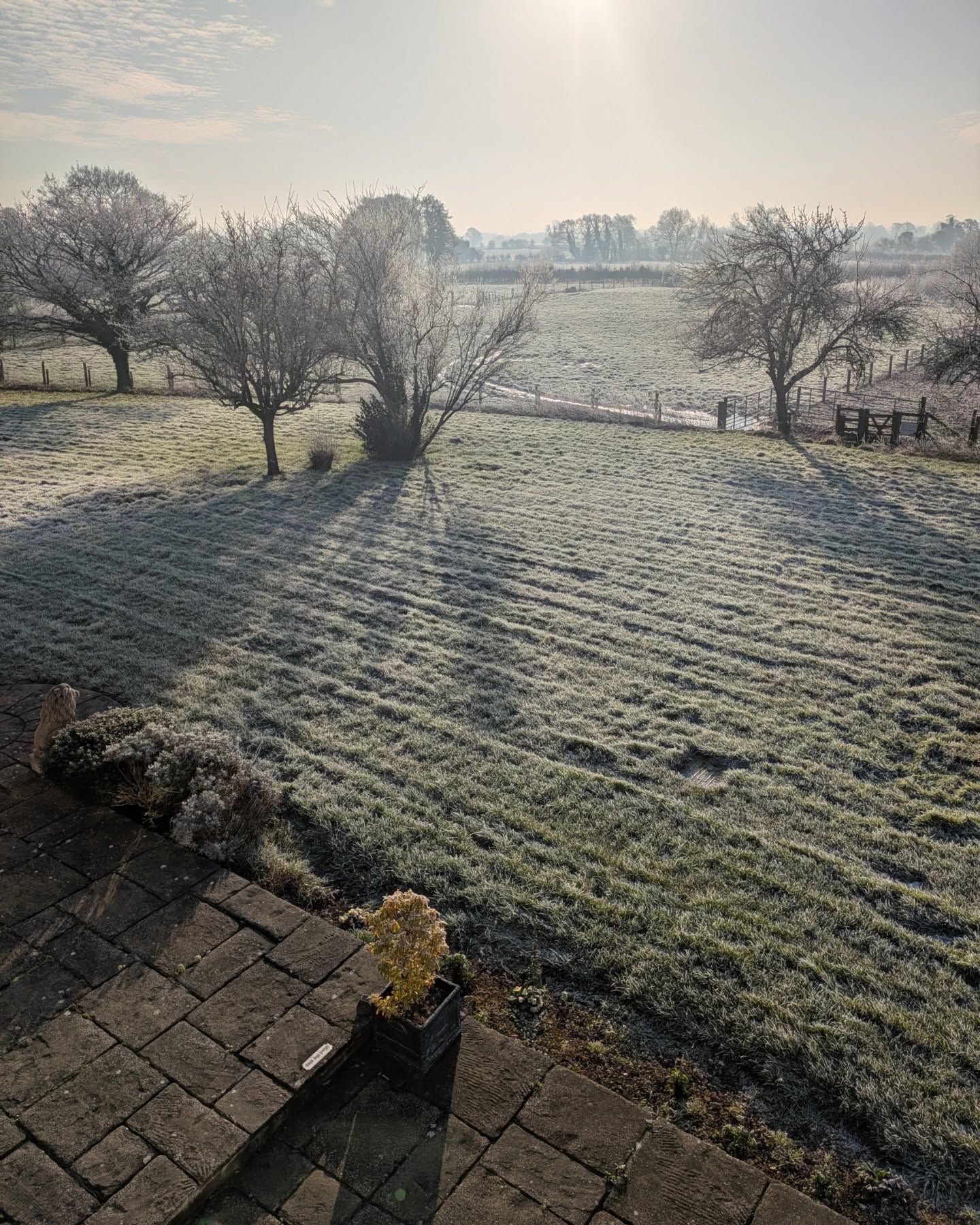 Frosty cold ๐ฅถ mornings ๐