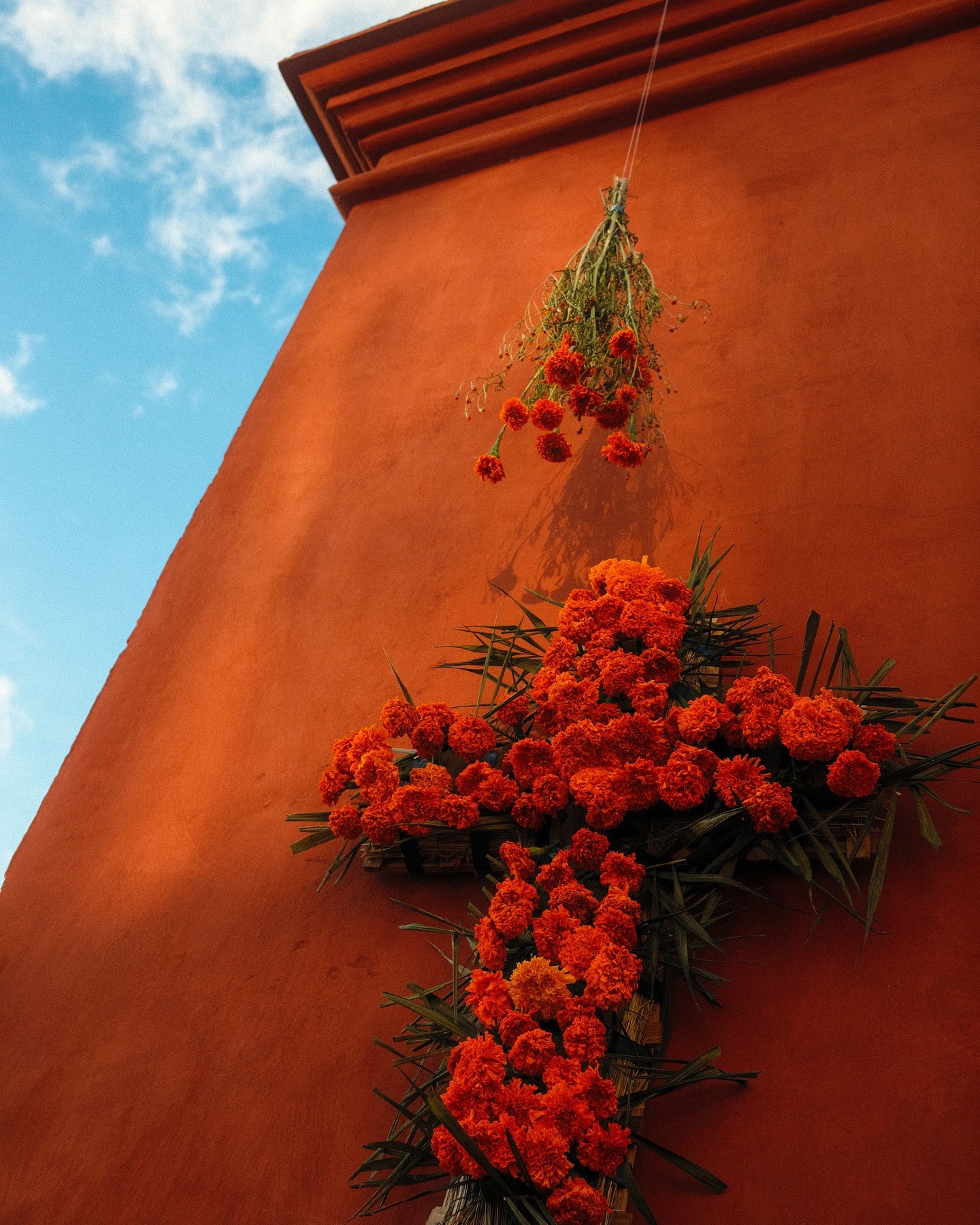 Dia De Los Muertos - Day Of The Dead
It's one of our favourite times of the year because Mexico is dressed with beautiful marigolds and artisanal decorations as a backdrop to remember and celebrate our loved ones ❤️🔥
Here are a few snaps of Oaxaca from our amigo @earwigjoe. Keep tuned over the next few days for more.
#mexico #loveones #losmuertos #decorations #remember #celebrate #oaxaca #dayofthedead