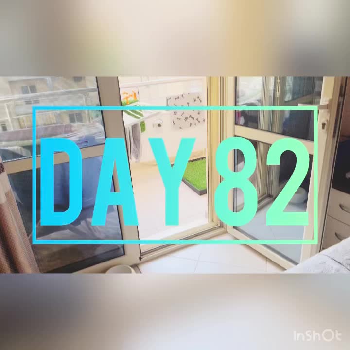Day 82
🌧️ 64°/47°
We had a lovely day at home. It rained on & off, but the clouds were a real show stopper! Just so epic, & the sky looked totally different every 5 min. Thankfully our terraces are roofed, so even on rainy days I can still get laundry done. Can you believe clothes dries even when it’s raining?! Made breky, & then worked on a new drawing project the rest of the morning, it’s a surprise for Philly (not that he’s active on social media & would see this 🫣🤣), I’ll make sure to include it after it’s been revealed! My homebody mode really did not want to leave the apt for lunch so I made a grilled cheese & ate that cucumber salad as forecasted! Reese is doing about the same, not worse, but certainly not out of the woods. Philly is going to bring back a new allergy med (prescription) so I’m hoping that will help whatever is happening! Maybe I’ll do a video just about Reese’s allergy diagnosis? I hadn’t really talked a ton about it here, well certainly not daily like now, & I think it might help give some perspective on how far we’ve come in the past 6 years. And how extreme her allergies & IBS are. When she goes for brain draining with chewing on the bone all on her own, I know she’s feeling at least a bit more like herself ♥️ For dinner I went out to the Eagle, told our waitress I would see how much I could eat all by myself, since I wasn’t sharing. When she wrapped up all my leftovers & handed them over, she said “enjoy, but I know you could have done it” 🤣🤣 girl, you are so right. I had to mentally put the brakes on, since I didn’t have a grazing partner! Very excited for leftovers tomorrow! The wind picked up, & thunder rolled as night came. We, more me than Reese, watched some comedy specials, & then got everyone ready for bed. Off to Haso I go in the morning to hunt for a patio set, wish me luck!
🪿💜🪿
#sillygoosesonly #vlorë #albania
