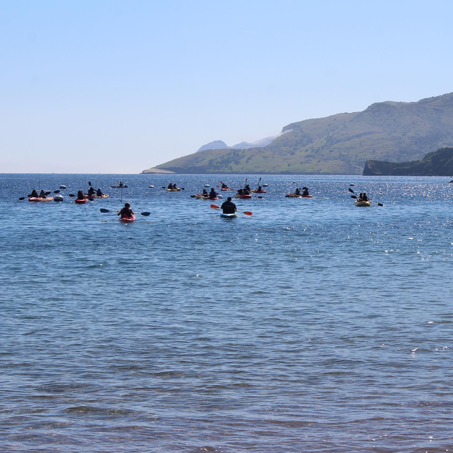 Another incredible week at CELP! From kayaking and snorkeling to whipping up fresh garden salads, exploring tide pools, and soaring on zip lines!