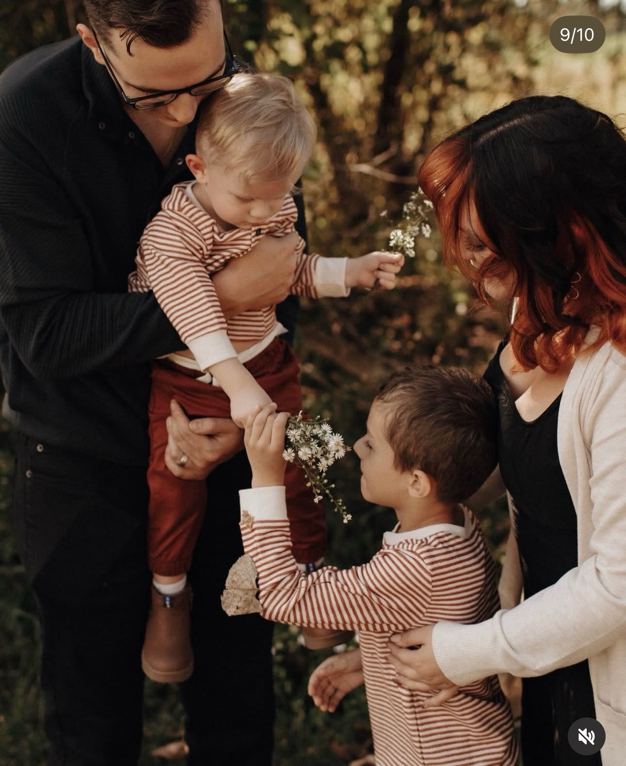 american honey 🌼🌾