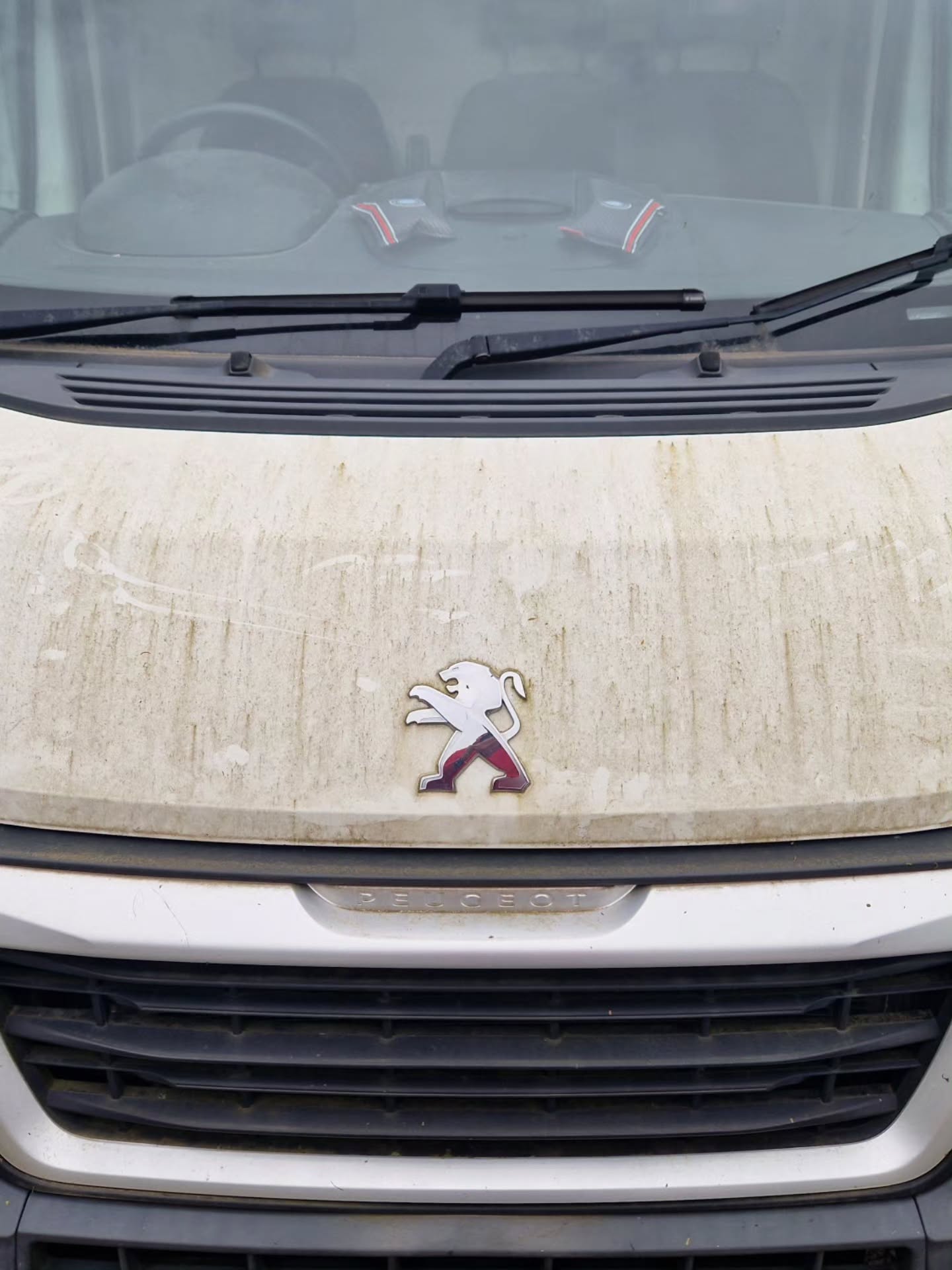 The challenge is setโฆ
This Peugeot Boxer came in needing serious attention โ and we were ready for it.
Booked in for a full deep clean inside & out, tackling built-up dirt, grime and bringing everything back up to a professional standard.
A full transformation is underway with one goalโฆ restoring it back to its former glory โจ
Can it be done?
Weโll let the results do the talking.
Stay tuned โ this is one you wonโt want to miss.
#valetnshine #cardetailinguk #valetinguk #detailersofinstagram #detailersofuk carvaleting deepclean interiordetailing exteriordetailing beforeandafter transformation satisfyingclean detailingworld autodetailing vanlifeuk peugeotboxer workvan commercialvehicle vanvaleting southwalesbusiness rctbusiness supportlocaluk smallbusinessuk professionaldetailing ceramicprotection paintcare cleaningtransformation attentiontodetail booknow fullybooked