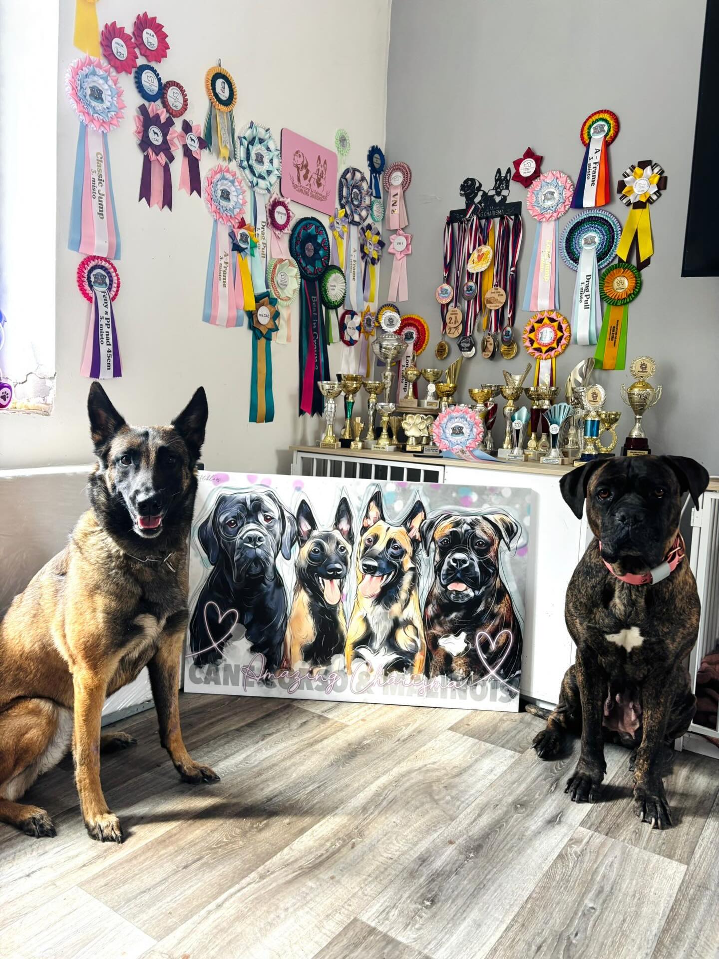 Amazing Charisma 🖤
Obraz do chovatelské stanice cane corso & malinois, Káťu sem sledovala už roky, takže obraz jsem se snažila fakt vypilovat do posledního detailu, jelikož to byla taky moje menší srdcovka 🥹🤔
Velikost 96x54 je naprosto ideální pro takovou smečku, aby byl obraz lehká dominanta prostoru. A věřím, že v každé chovatelské stanici je místo na takový krásný kousek.
Kdo z Vás má taky chovku? Představte se 🐾❤️
#canecorsocz #canecorsoczechrepublic #malinoiscz #malinoisczechrepublic #pejseknaplatne