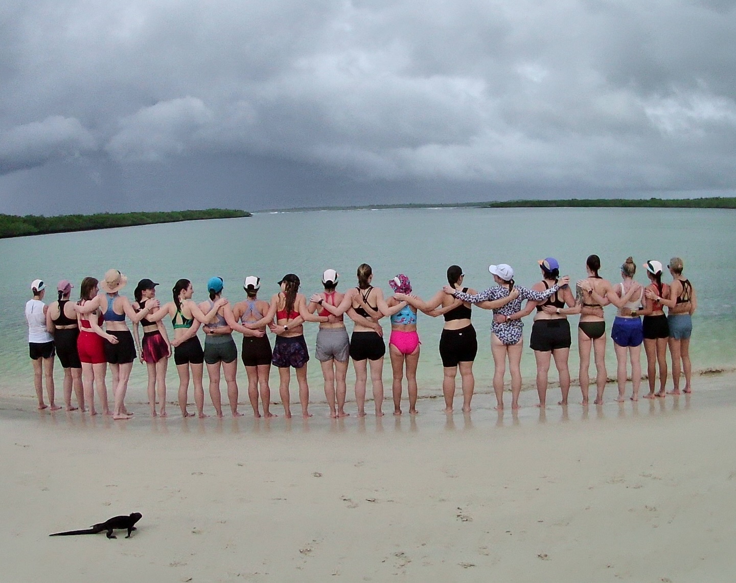 Run fast. Eat Slow. Galapagos woman’s retreat with @elysekopecky
Day 3. We ran along a lush, green trail leading us all the way to the beach, surrounded by vibrant vegetation at every step. Once there, we dove into the ocean and shared the water with incredible wildlife—sea turtles, marine iguanas, playful sea lions, and even sharks.
Back at the hotel, we enjoyed a refreshing dip in the pool before heading into a fun and interactive cooking class, where we learned to prepare traditional dishes using plantains.
To end the day, we were treated to a surprise dinner in a magical setting by the ocean—an unforgettable experience under the stars. 🌊✨