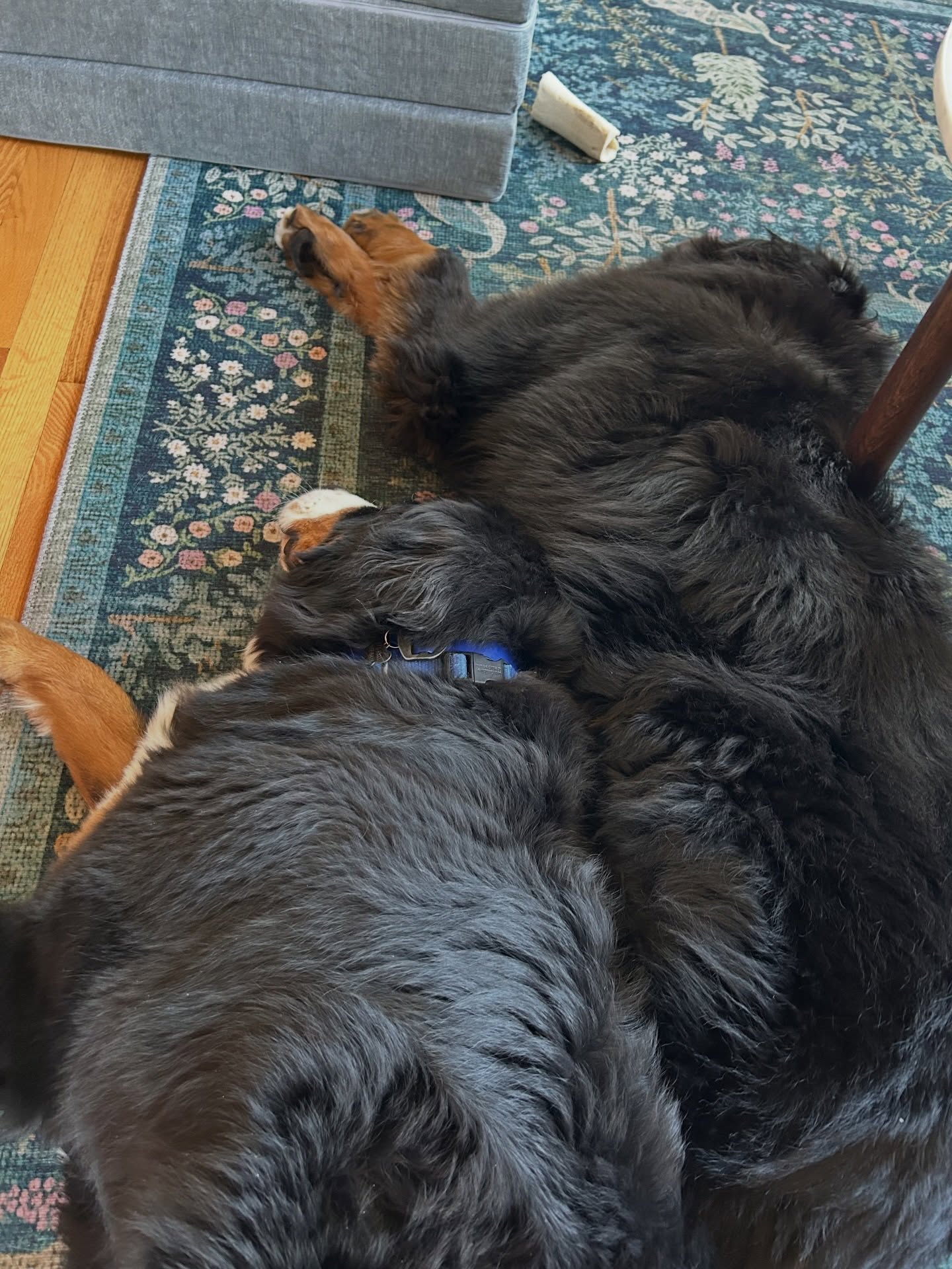 Are you a big spoon or a little spoon? 🥄
Snuggly afternoon for the boys. The ice is melting on the lake and soon it will be swimming season!!