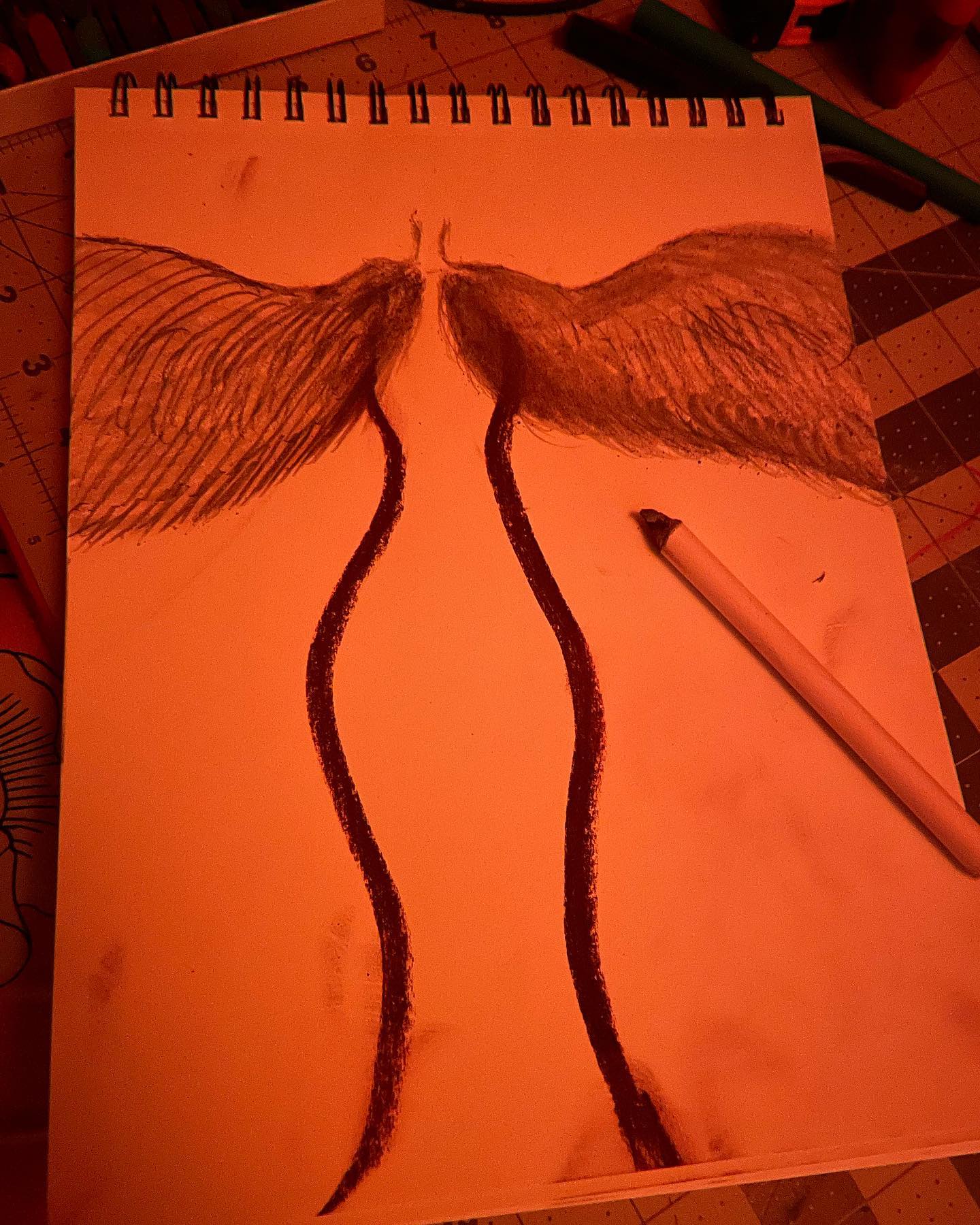 There’s a new series coming together piece by piece.
Like a mosaic of feelings, emotions and gratitude for it all.
The Wings of Grief and Growth.
The Phoenixes of my Existence.
💛🦋🌀
#grieftogrowth #artist #art #create #angel #drawing #doit #kismet #kismetology #perceptions #expand #love #17 #yonimudra #mudra