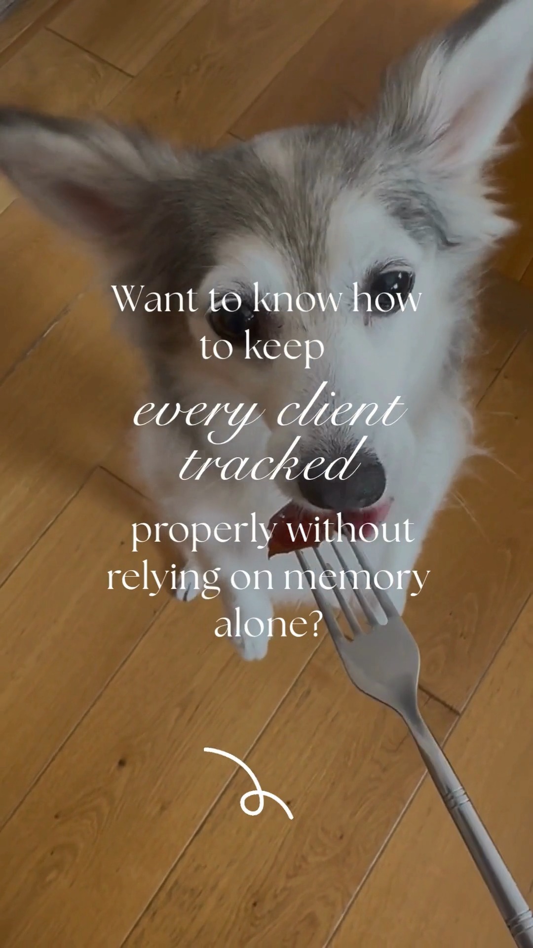 You know your clients. You remember their dogs, their struggles, their progress. But when you are managing twenty active cases, remembering who needs a follow up, who is on a break, who owes payment, and who is waiting for their next available slot becomes impossible without a system.
Most canine professionals are running their business from memory and a messy notes app. You know roughly where everyone is at. You know who you have not heard from in a while. You know who said they would book in again after the holidays. But rough knowledge is not the same as accurate tracking. Things slip. Clients fall off your radar. Follow ups do not happen because you genuinely forgot.
An organised tracker is not about being controlling. It is about being able to see the full picture of your business without having to hold it all in your head. Who is active. Who is paused. Who needs contact. Who is progressing. Who is stuck. All of it visible, updated, and reliable.
When everyone is accounted for, it is because someone is maintaining the system while you do the sessions. That is what makes it sustainable.
#LittleWolfCS #DogTrainerLife #CanineBusiness #ClientManagement #WorkSmarterNotHarder