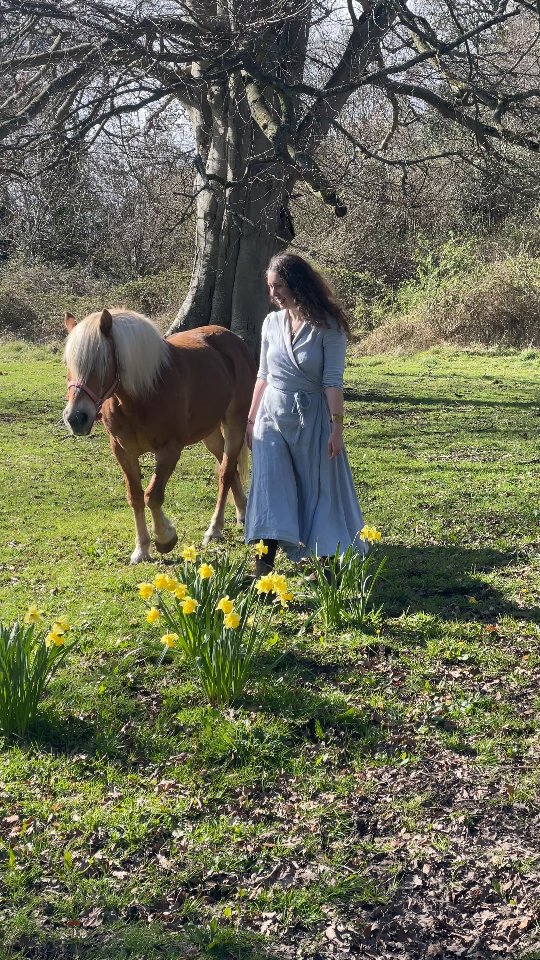 I am excited to finally reveal the second piece in my series based on Macha - horse Goddess linked to the North of Ireland.
Stay tuned for another video where I talk about the meaning behind this particular piece
'Macha Series: In the Light'
60 x 80 cm
Oils on Canvas
Prints available mariajohnstonartist.com (link in bio
Thanks to my amazing sister @chubbycherub.co for capturing the clips for this reveal 💙
#paintingreveal #macha #mythologicalart #irishart #visionaryart
