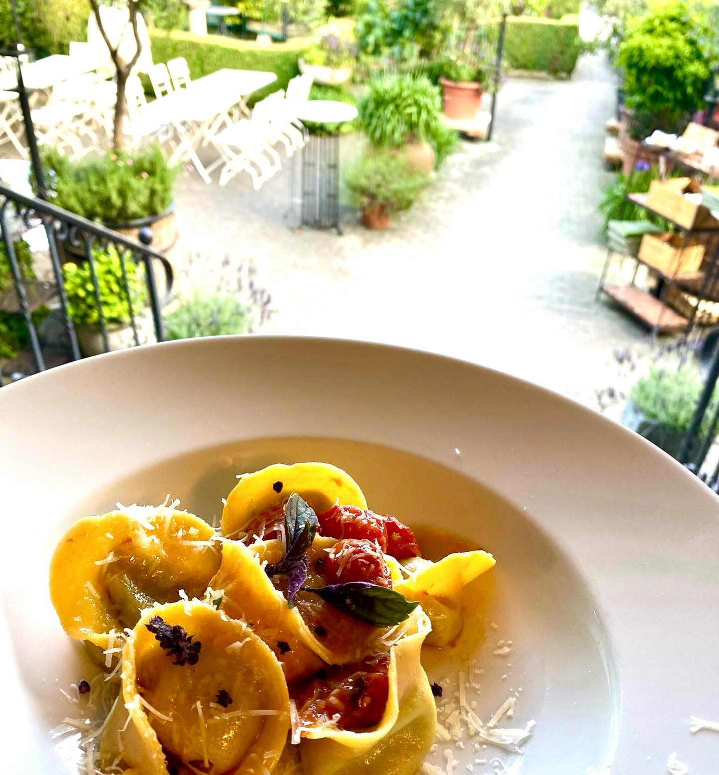 La Dolce Vita in Unterbachern. Hausgemachte Basilikum-Ricotta Tortelli und lauwarmer Oktopus Salat unter Olivenbäumen und Oleandern. #dassindwir #einfachgut #mediterranesessen #hausgemachteköstlichkeiten #hausgemachtepasta #feinemeeresfrüchte #