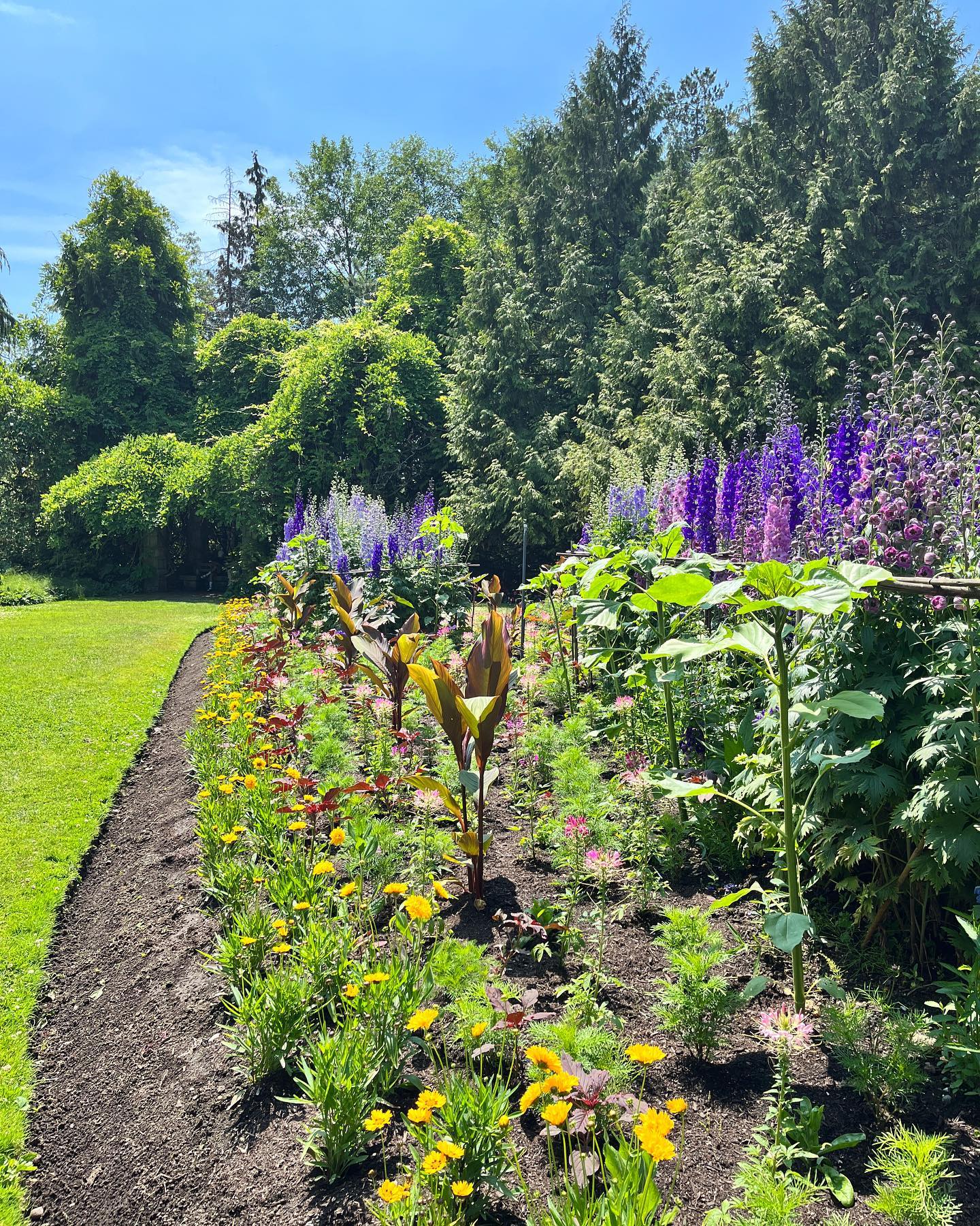 Beautiful day for strolling around Van Dusen garden with @kar_kls