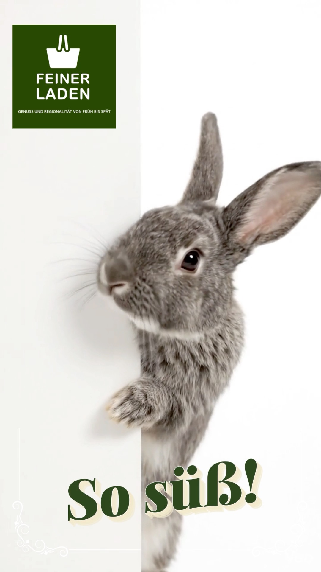 Feine Osterhasen warten auf ein neues Zuhause.