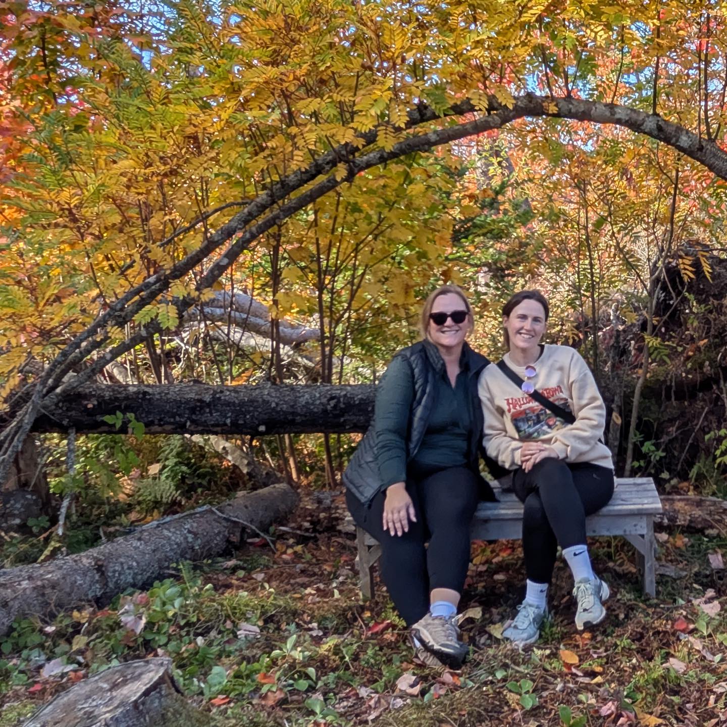 It is the birthday to my sister, a wild Lindsey Elizabeth! A constant inspiration, sounding board, and co-conspirator in silliness! There is no doubt she’ll enjoy her birthday because she has made it so!