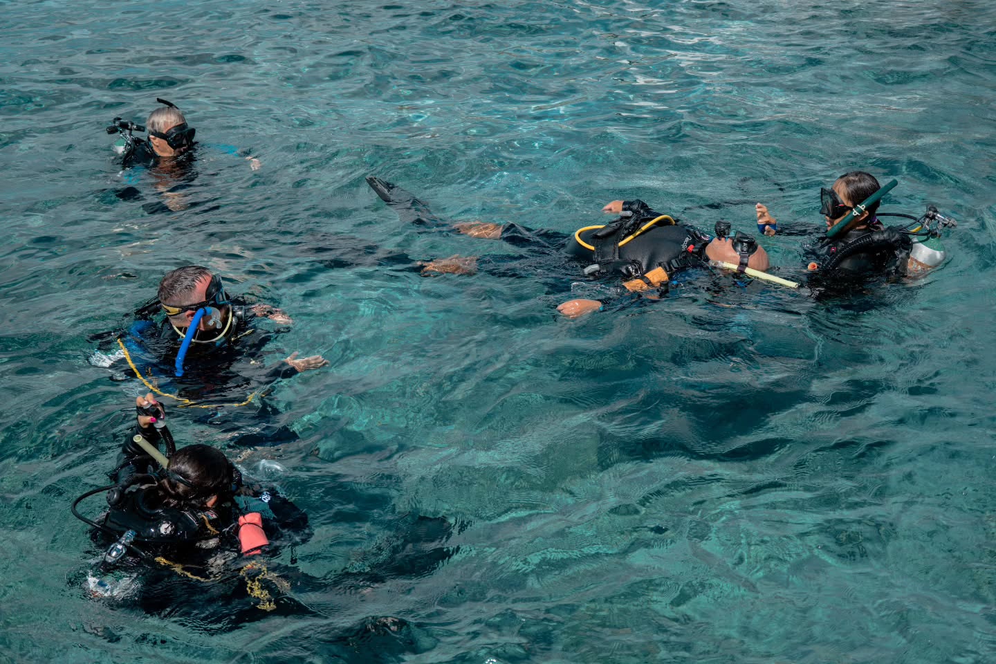 Turning your passion for diving into a profession is closer than you think.🙌🏽
With @aldoradivecollegeidc at Aldora Divers, you don’t just dive — you train, grow, and step into a new level of responsibility in the ocean.
From refining your skills to learning how to handle real-life scenarios, this is where recreational divers become professionals.
If the ocean has ever felt like more than just a hobby… this is your sign to take it further.
🌊 Start your professional journey in Cozumel
#AldoraCollege #AldoraDivers #GoPro #DiveTraining #RescueDiver DiveLife CozumelDiving