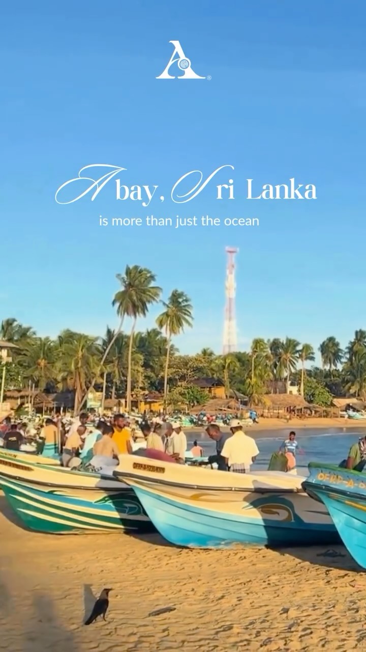 Arugam Bay is not just the oceans, it’s so much more.
These are just fragments of what makes this town a feeling and yes, every single one of these moments are real.
The surf, the wildlife, the people, the food. You don’t visit Arugam Bay. You feel it.
#ArugamBay #SriLankaTravel #AceDiaries #AceTravelSriLanka #WildSriLanka