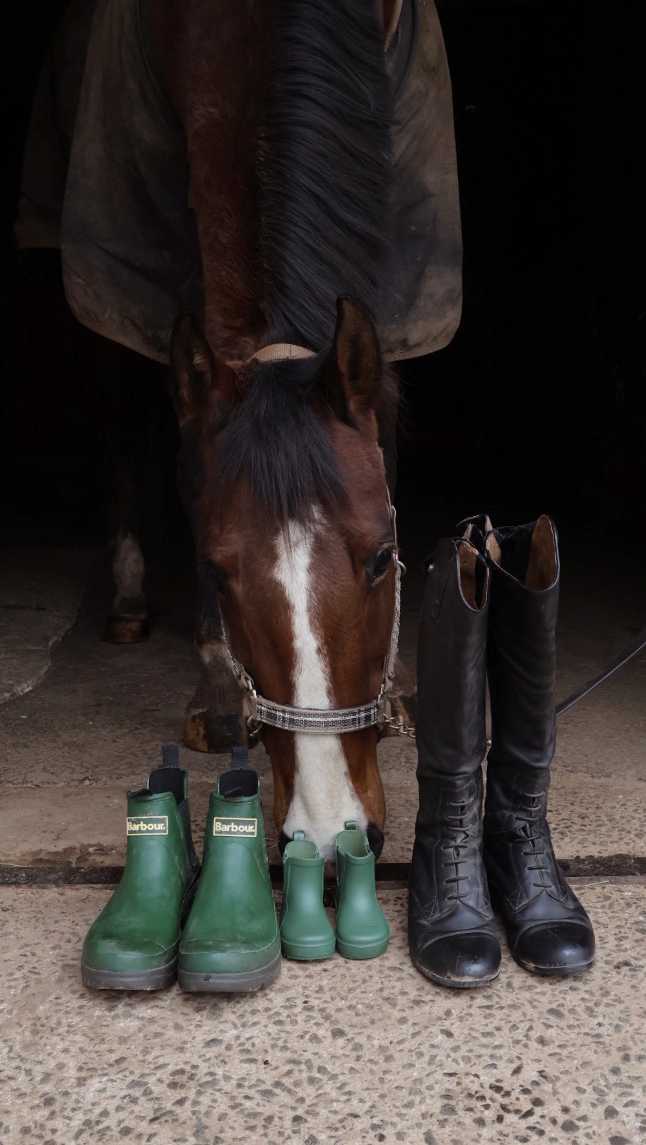 Hibernation is OVER and spring is in BLOOM